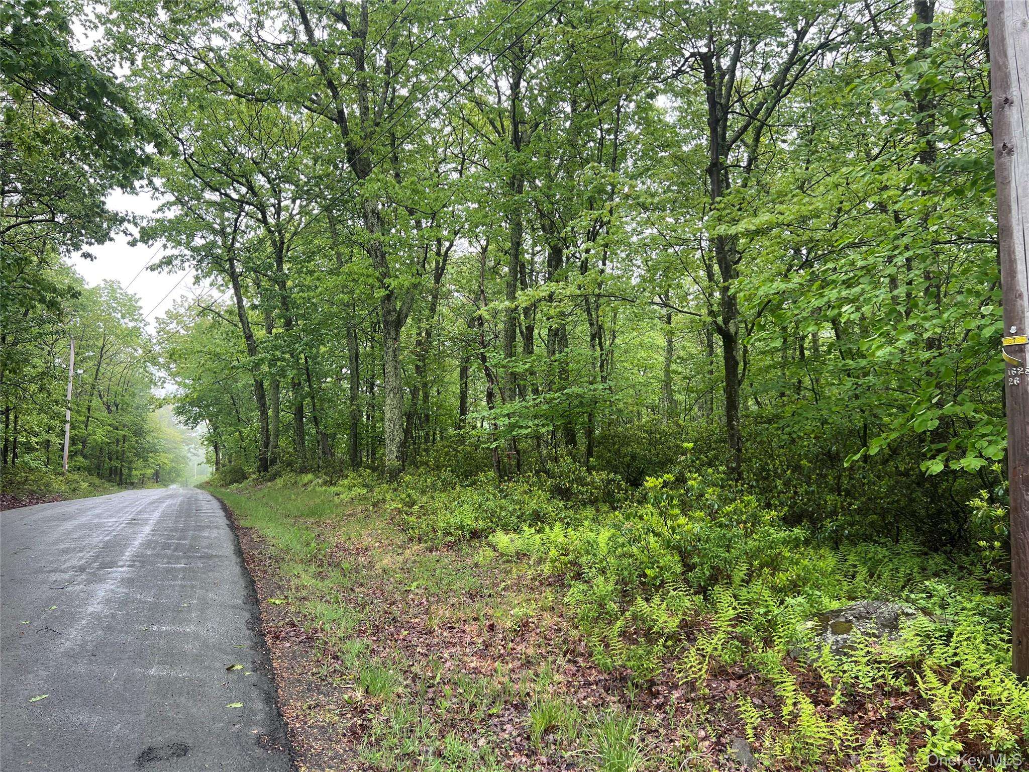 Budd RD, Wurtsboro, NY 12790