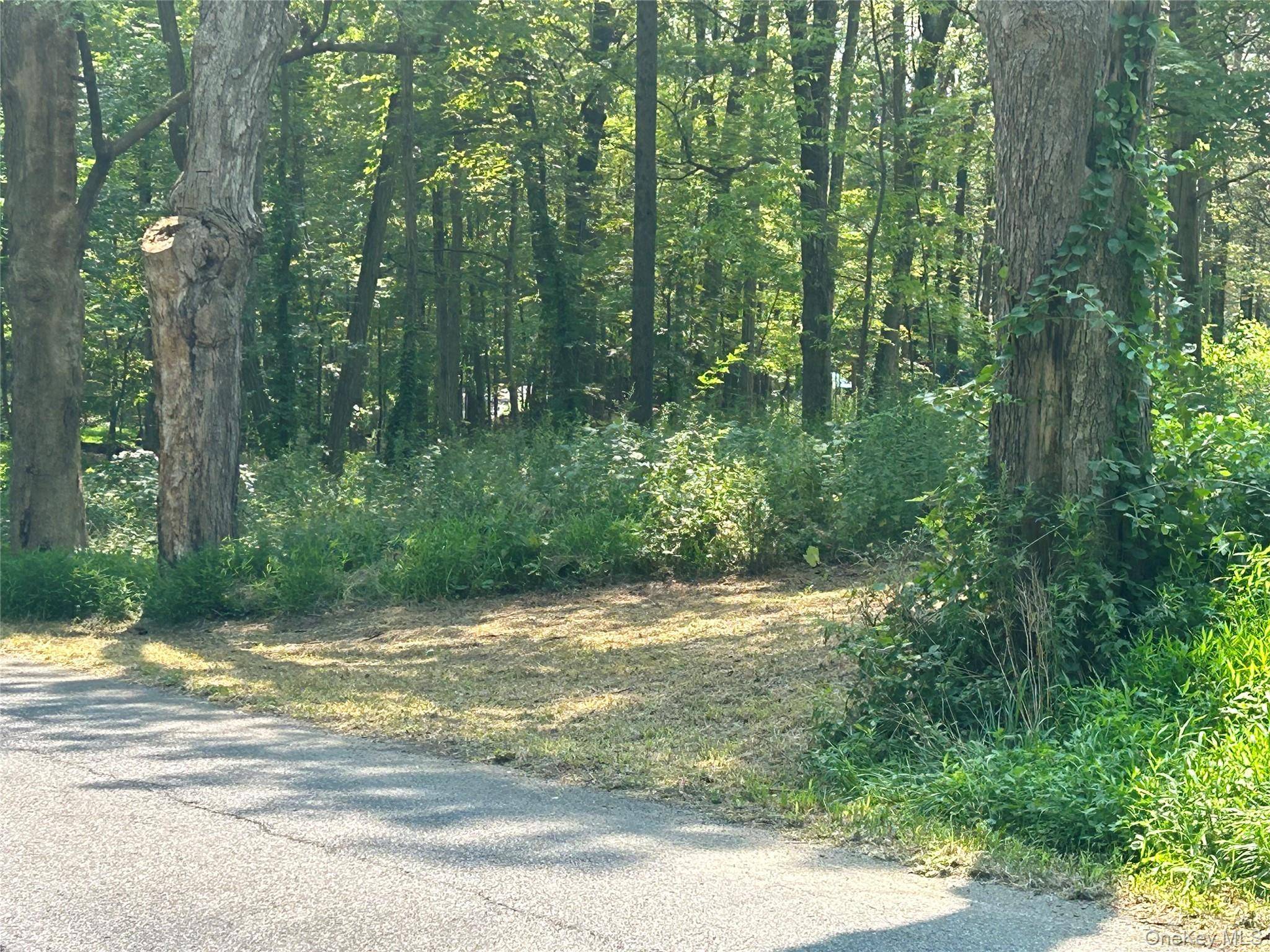 White Schoolhouse RD, Rhinebeck, NY 12572