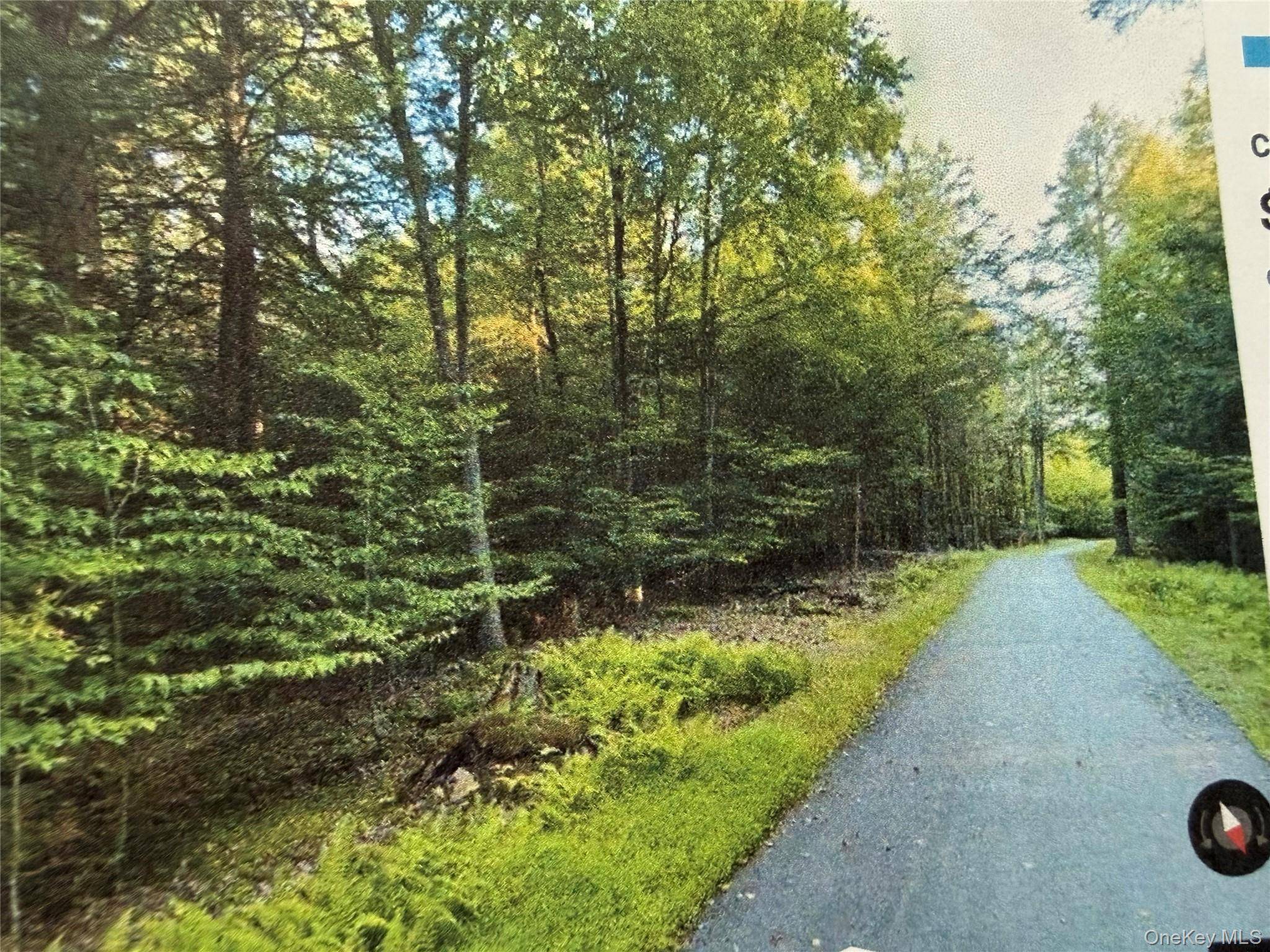 Highview DR, Bethel, NY 12720