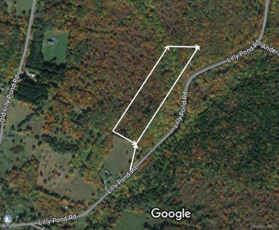 Lily Pond RD, Parksville, NY 12768