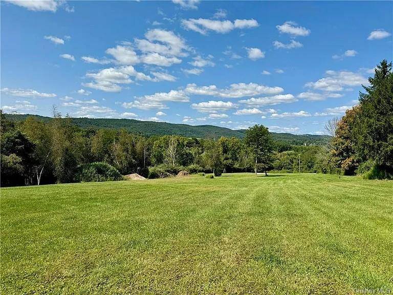 8 yellow city rd, Amenia, NY 12501