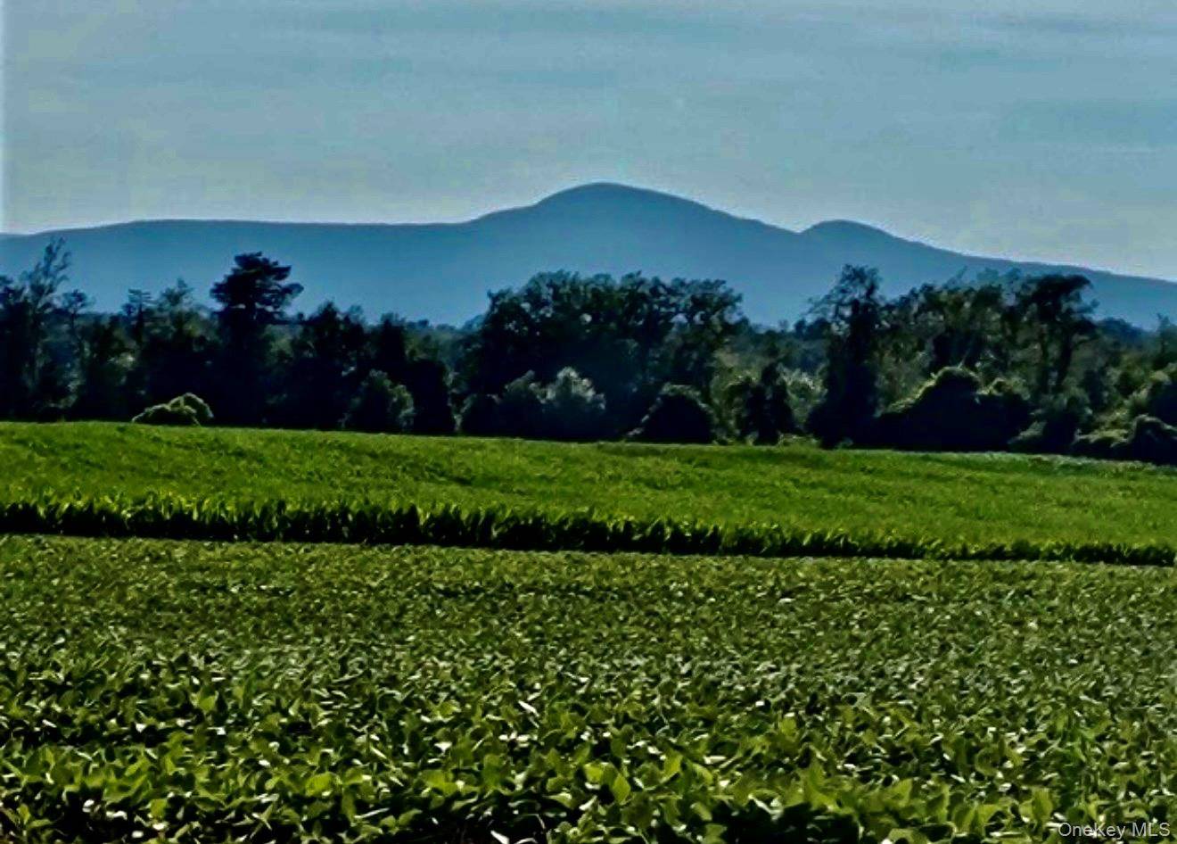 Rte 9, Hudson, NY 12541
