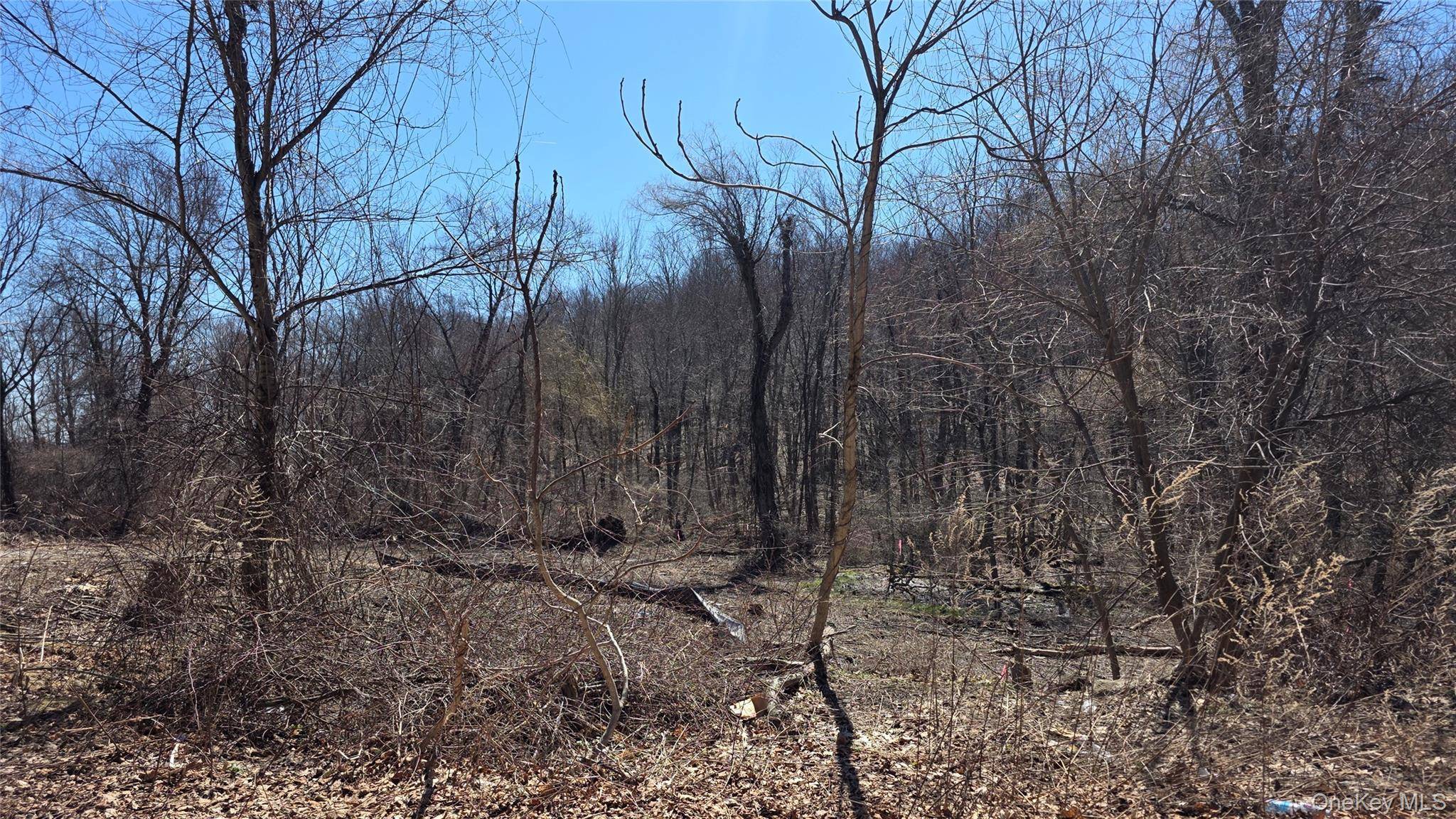 91 Barrett Hill RD, Carmel, NY 10512