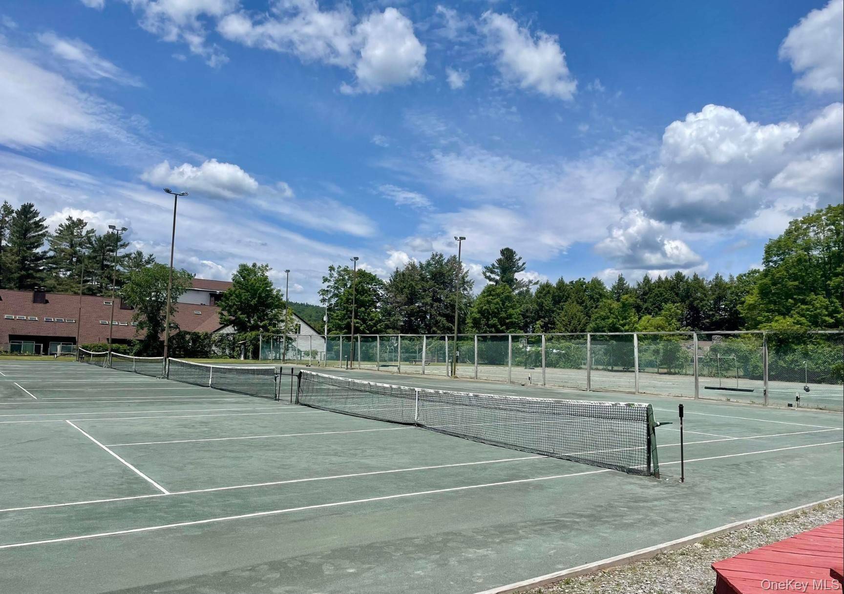 L173 Balsam Crest RD, Call Listing Agent, NY 12817