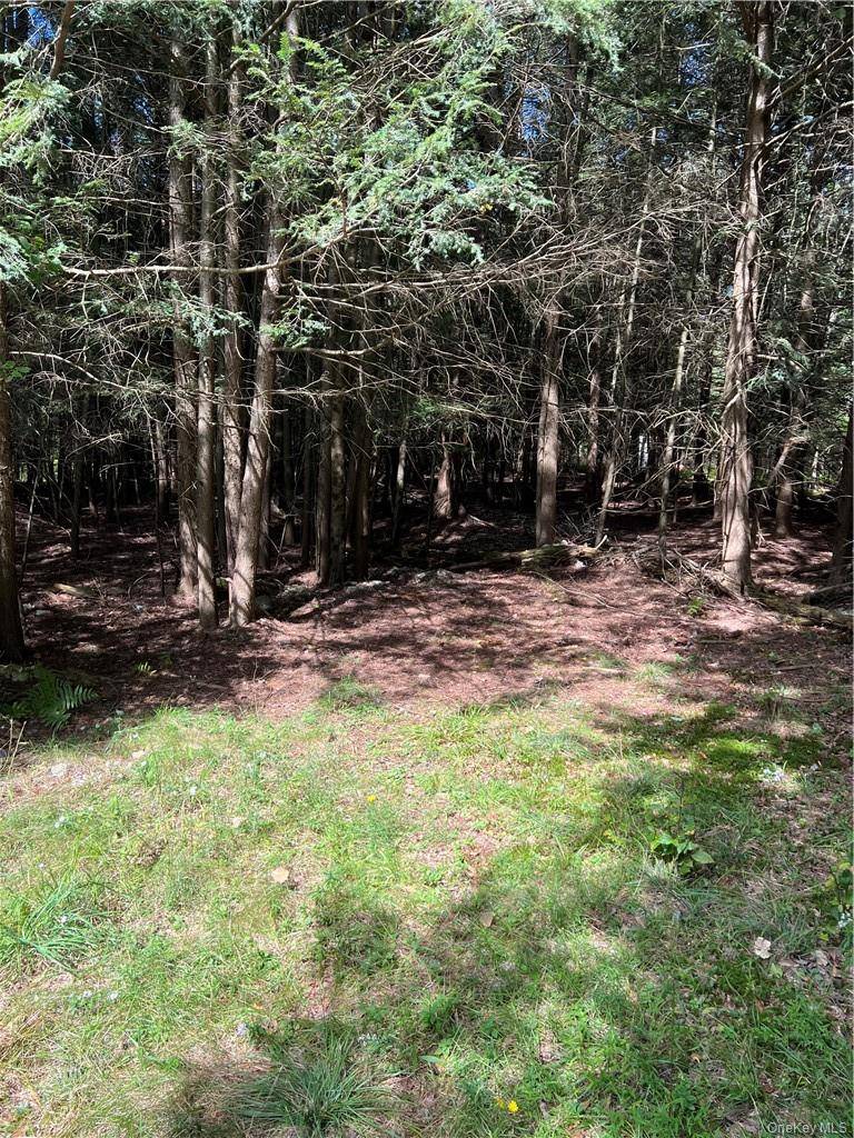 000 Cooper Drive RD, Kauneonga Lake, NY 12783