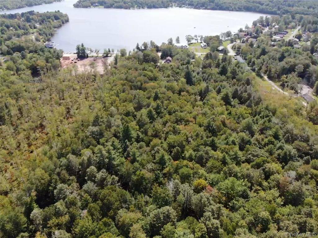 000 Cooper Drive RD, Kauneonga Lake, NY 12783