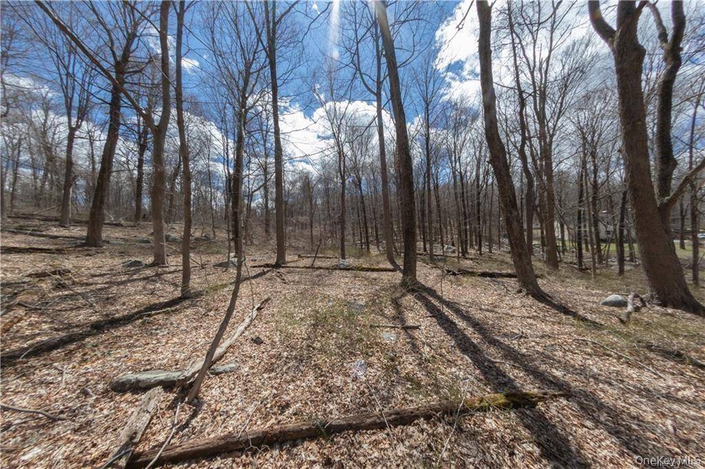91 Sherwood Hill RD, Brewster, NY 10509