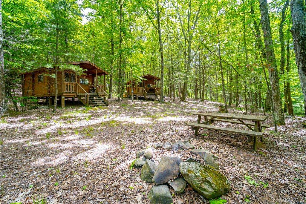 101 Red Star RD, Greenfield Park, NY 12435
