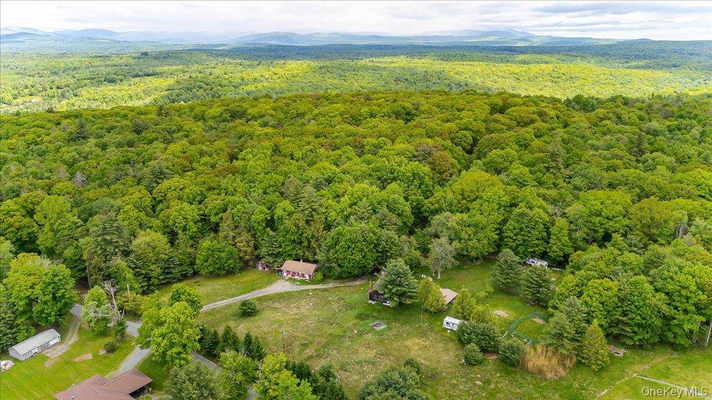 101 Red Star RD, Greenfield Park, NY 12435