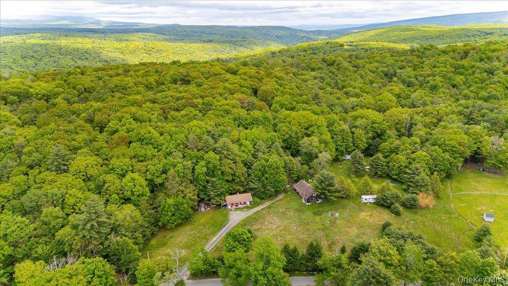 101 Red Star RD, Greenfield Park, NY 12435