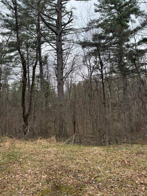 Lot 32 Woodstone TRL, Bethel, NY 12720