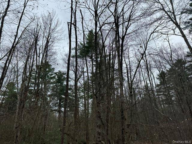Lot 32 Woodstone TRL, Bethel, NY 12720