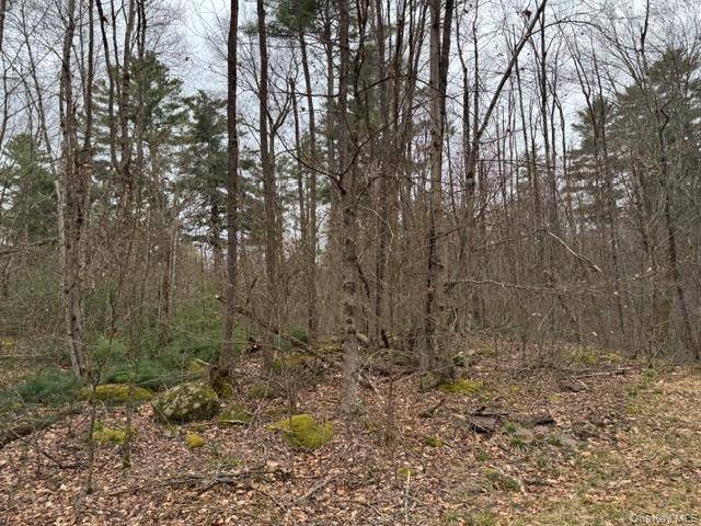 Lot 32 Woodstone TRL, Bethel, NY 12720
