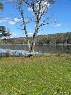 10 Dorm Drive, Fallsburg, NY 12747