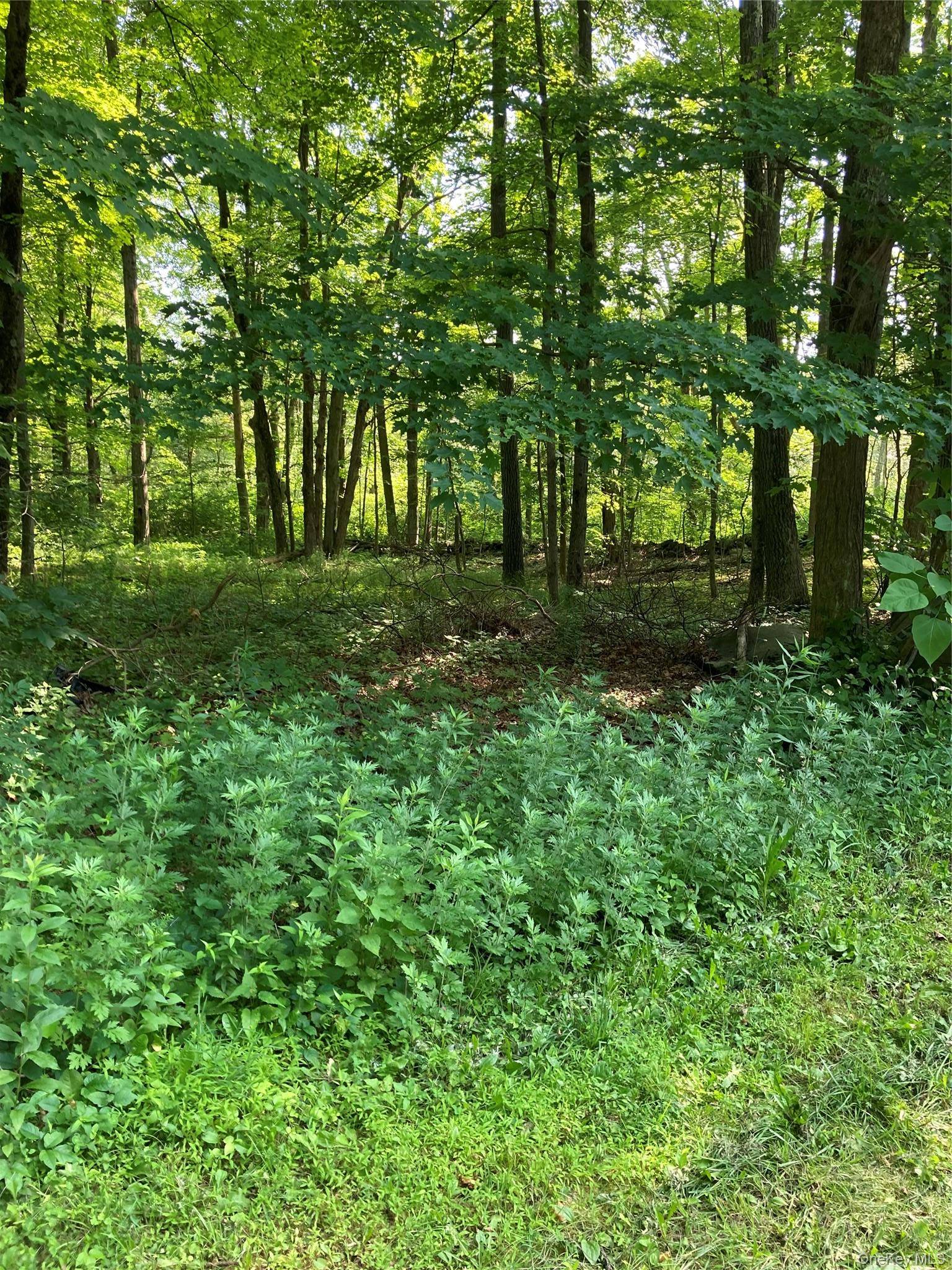 15 Adam Wagner LN, Mahopac, NY 10541