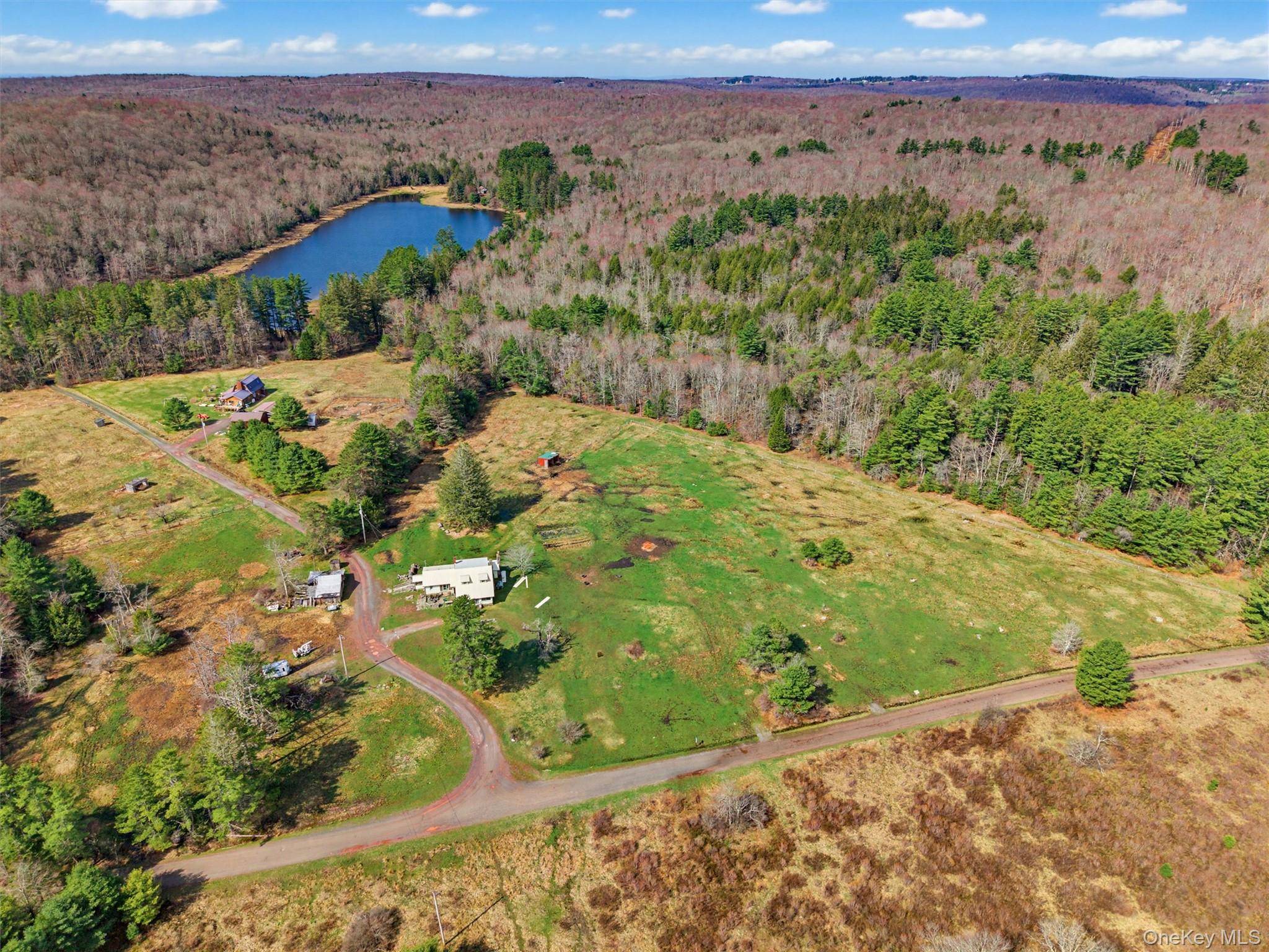 85 Lenape Lake RD, Livingston Manor, NY 12758