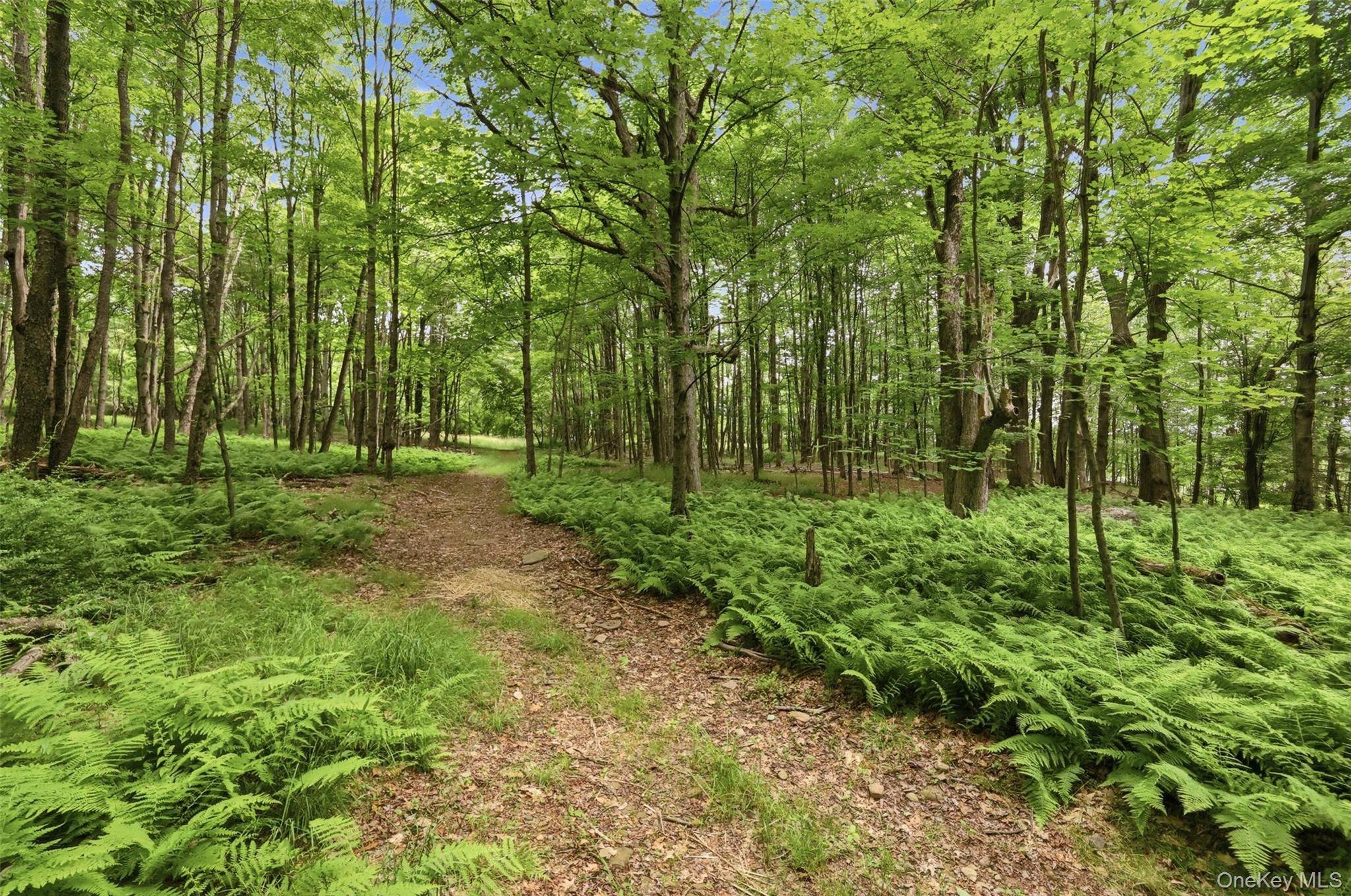 California AVE, Liberty, NY 12754