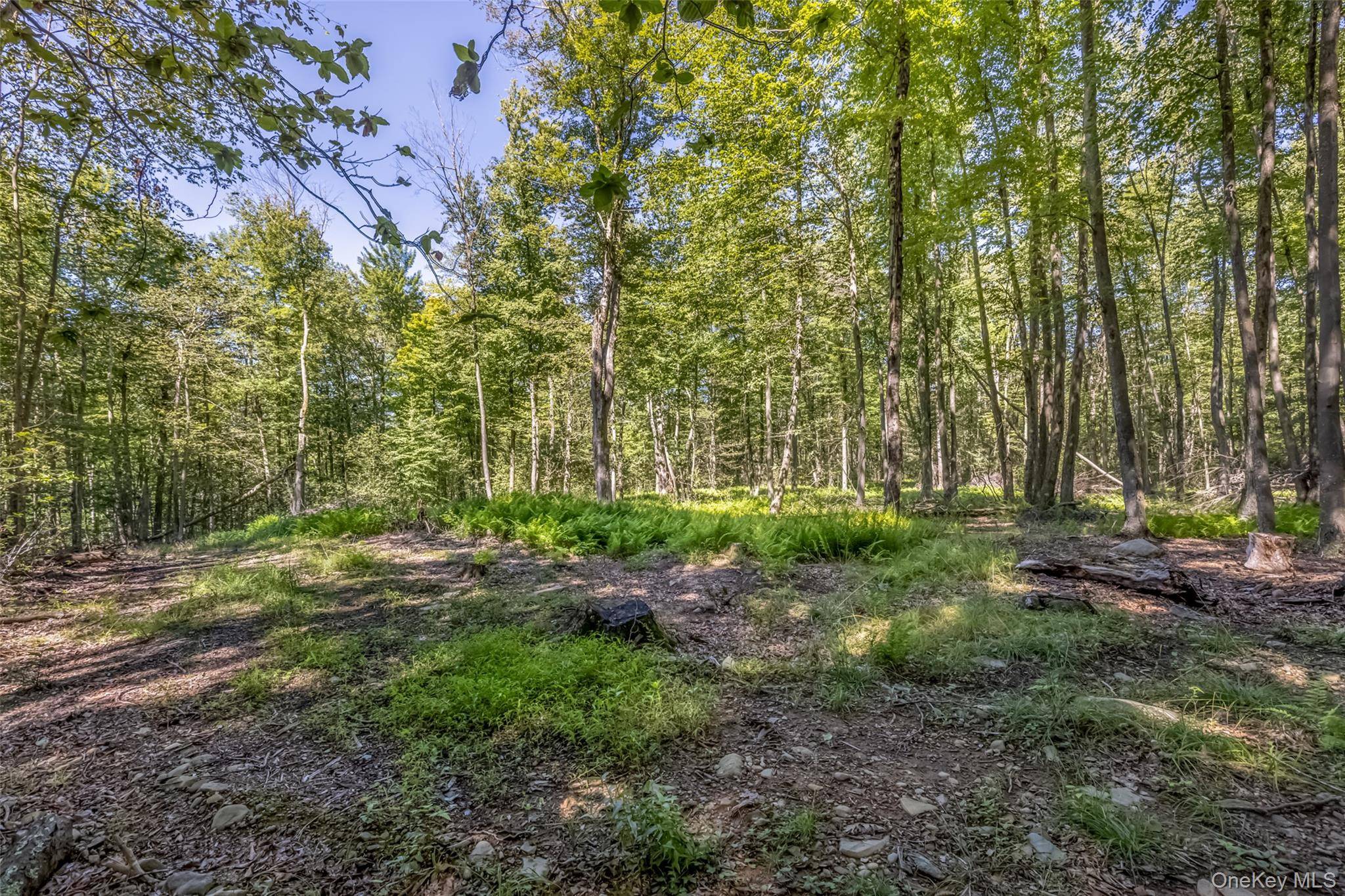 Camp RD, Ellenville, NY 12489
