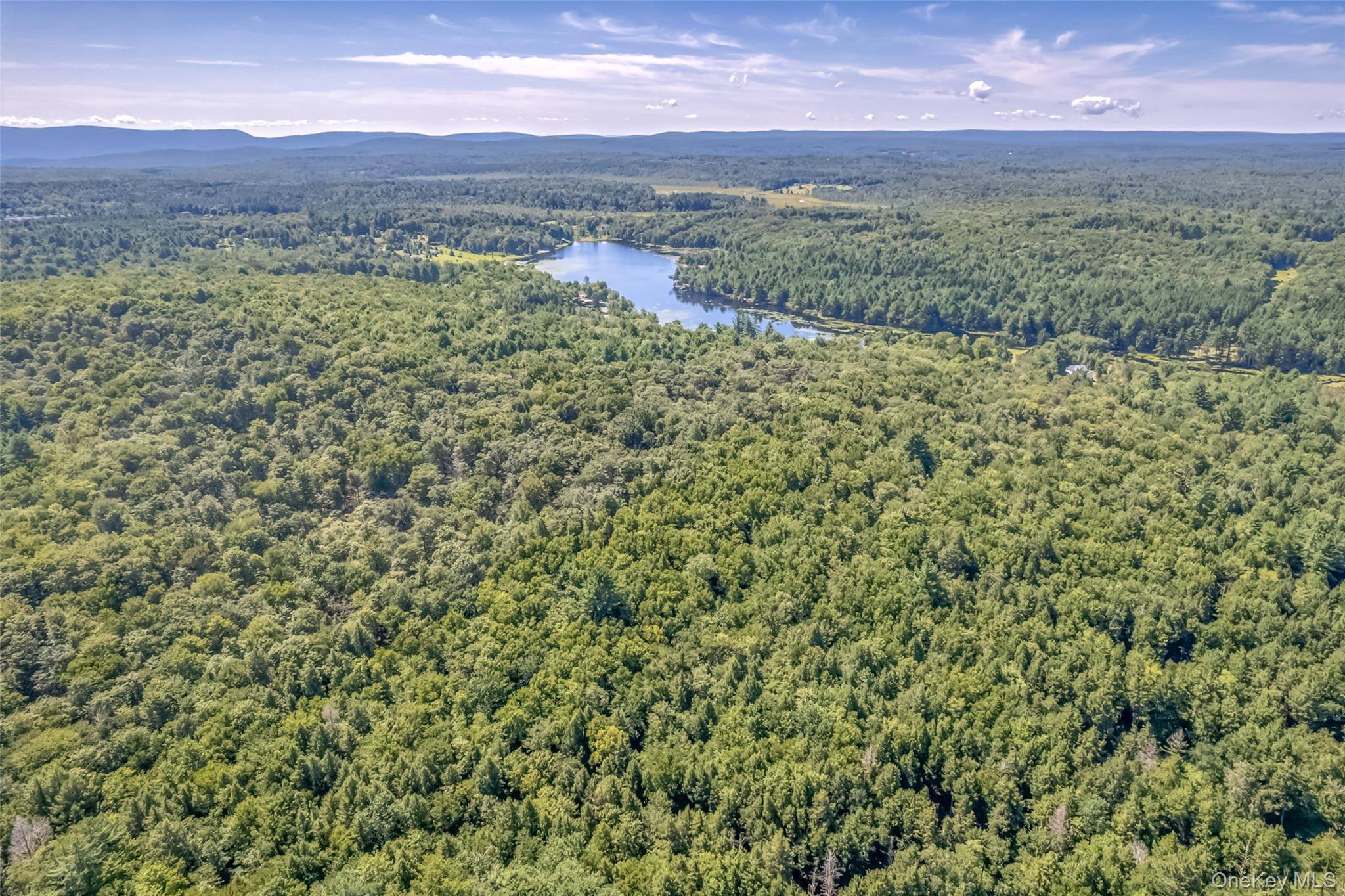 Camp RD, Ellenville, NY 12489