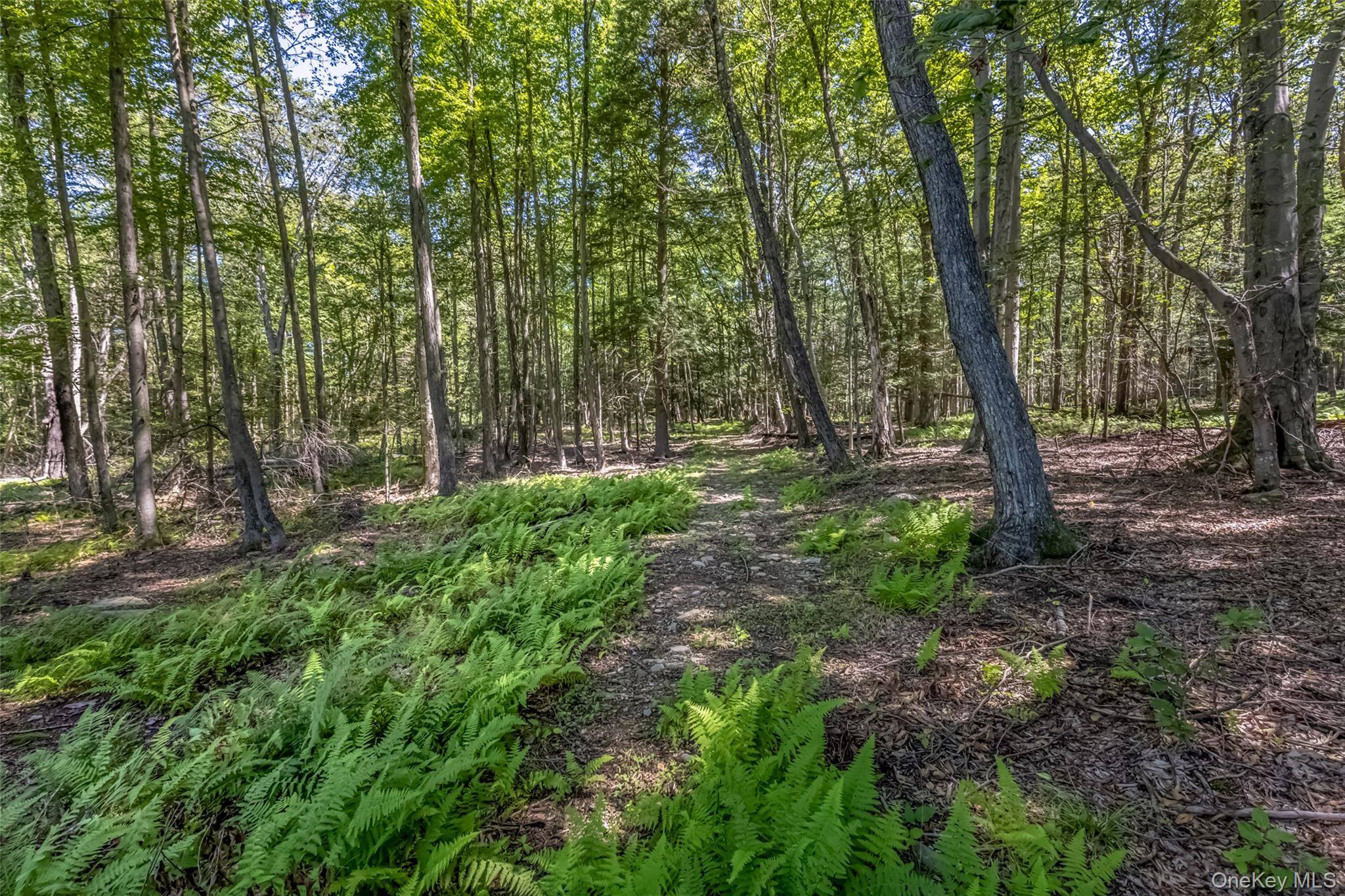 Camp RD, Ellenville, NY 12489