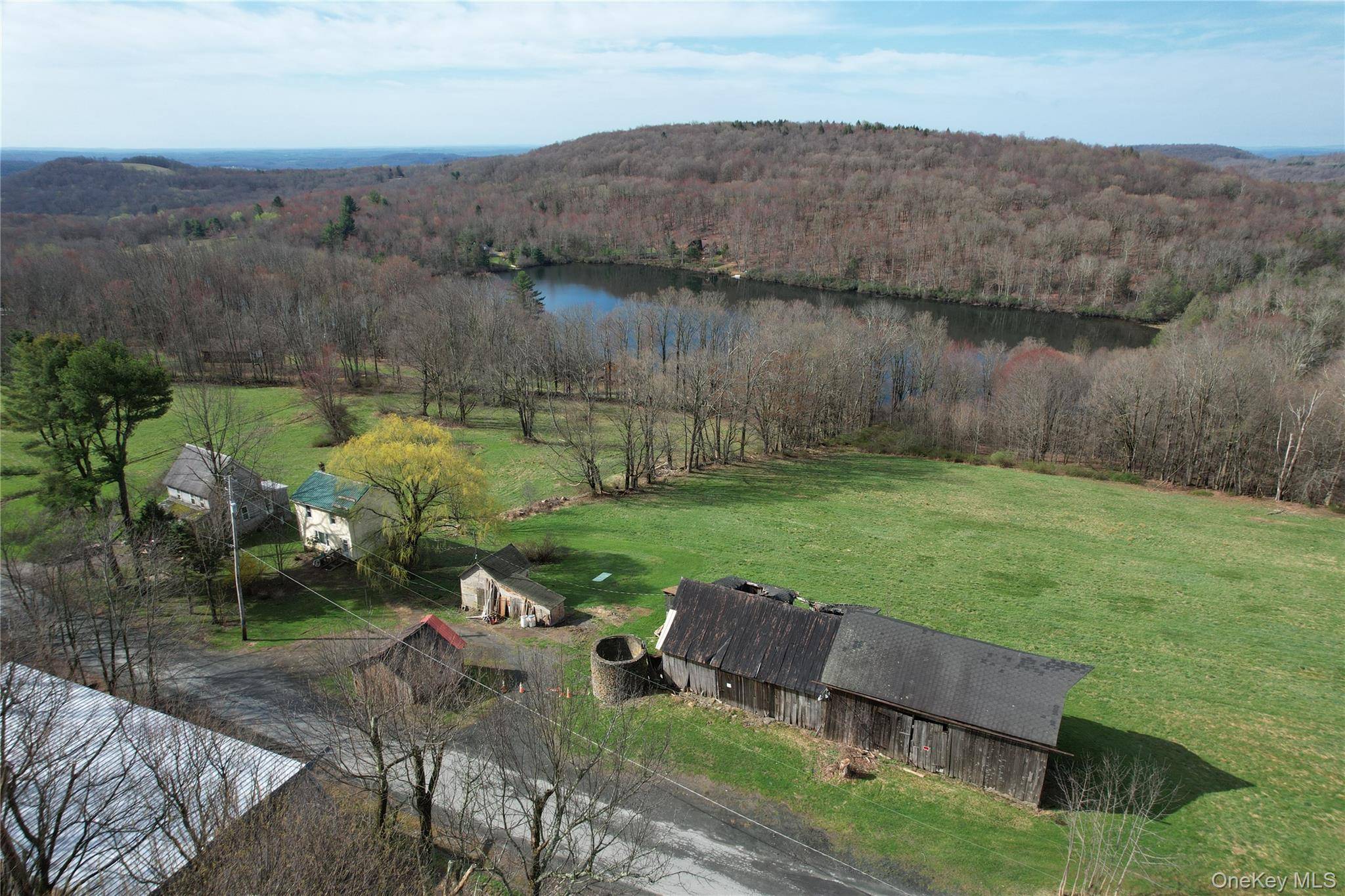 299-301 Stump Pond RD, Livingston Manor, NY 12758