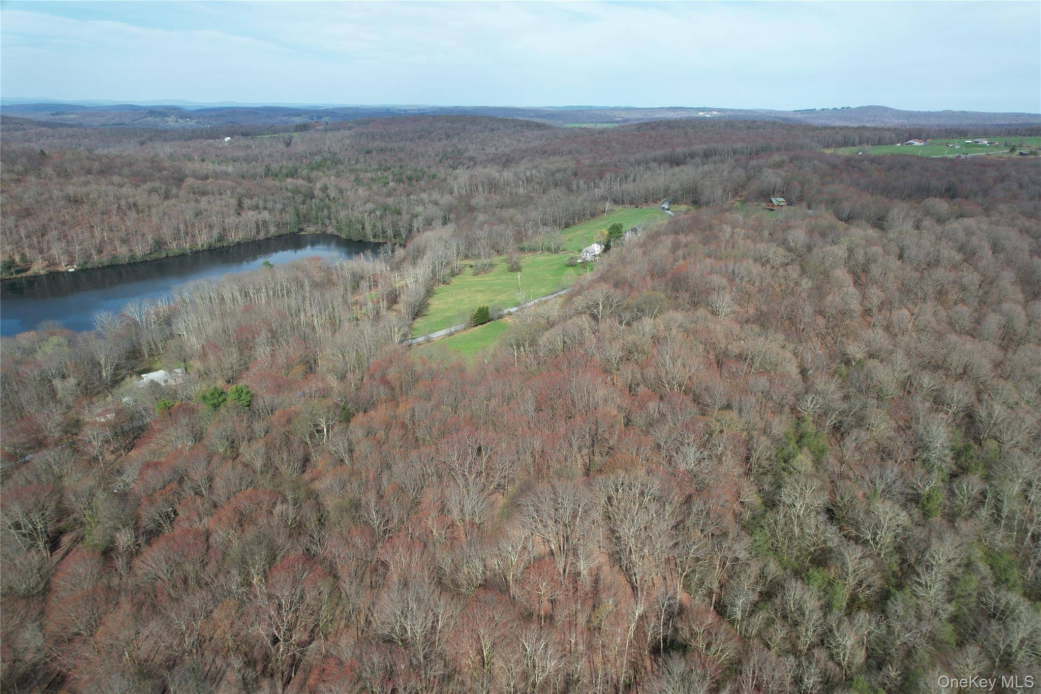 TBD Stump Pond RD, Livingston Manor, NY 12758