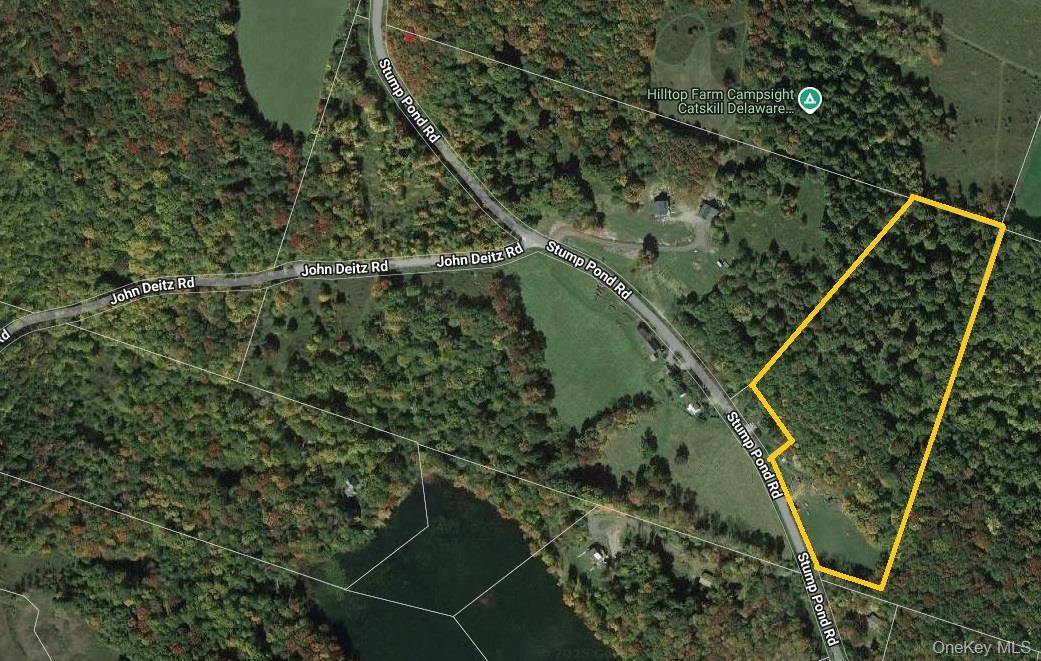 TBD Stump Pond RD, Livingston Manor, NY 12758