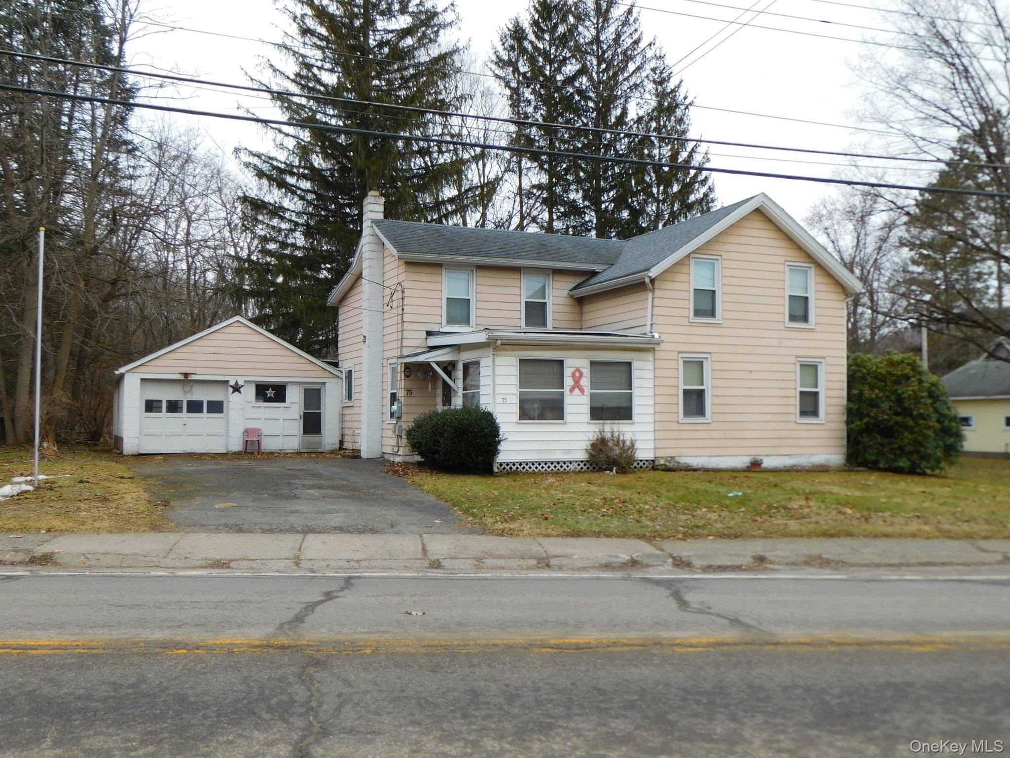 75 Stockton AVE, Walton, NY 13856