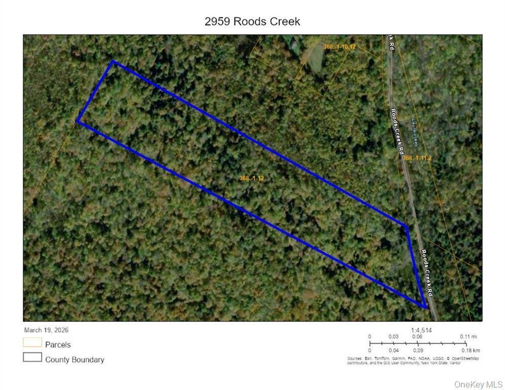 2959 Roods Creek RD, Hancock, NY 13783