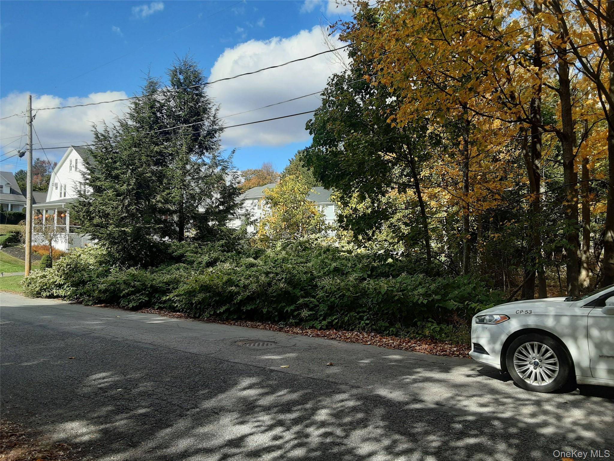 Woodland AVE, Liberty, NY 12754