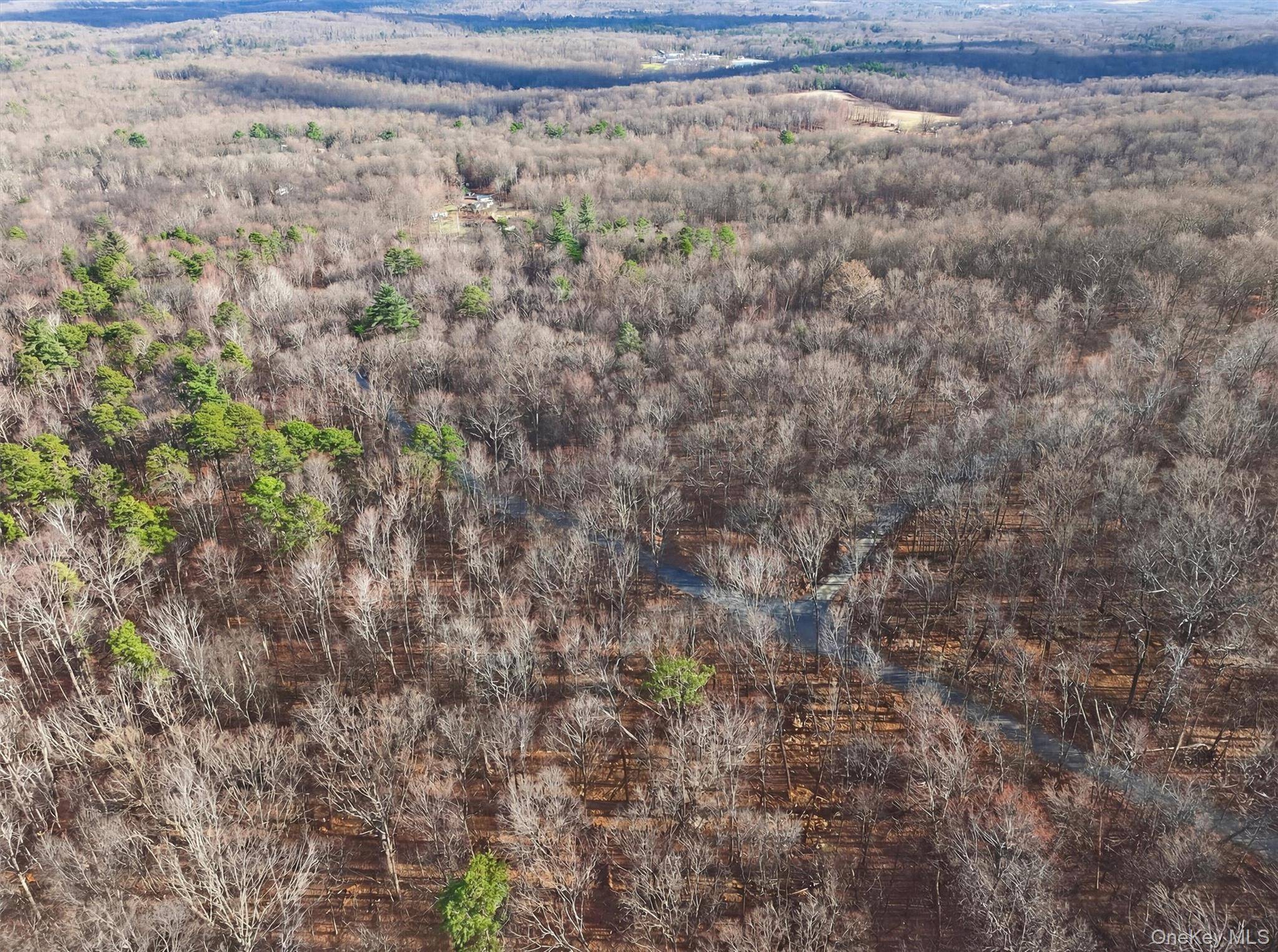 Lenni Lenape AVE, Wurtsboro, NY 12790