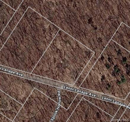 Lenni Lenape AVE, Wurtsboro, NY 12790