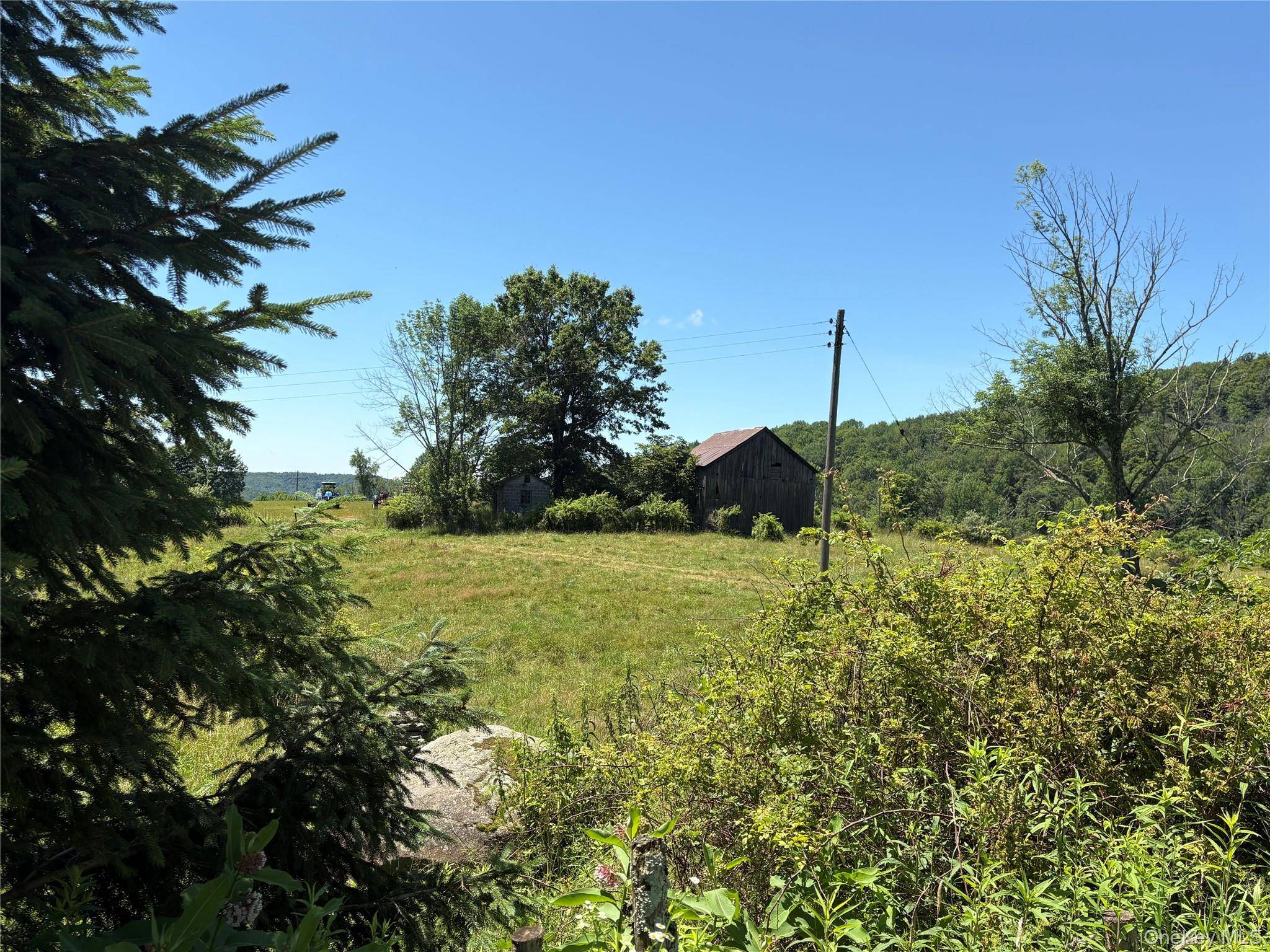 14 Frelich Rd/T R 28, Fremont Center, NY 12736