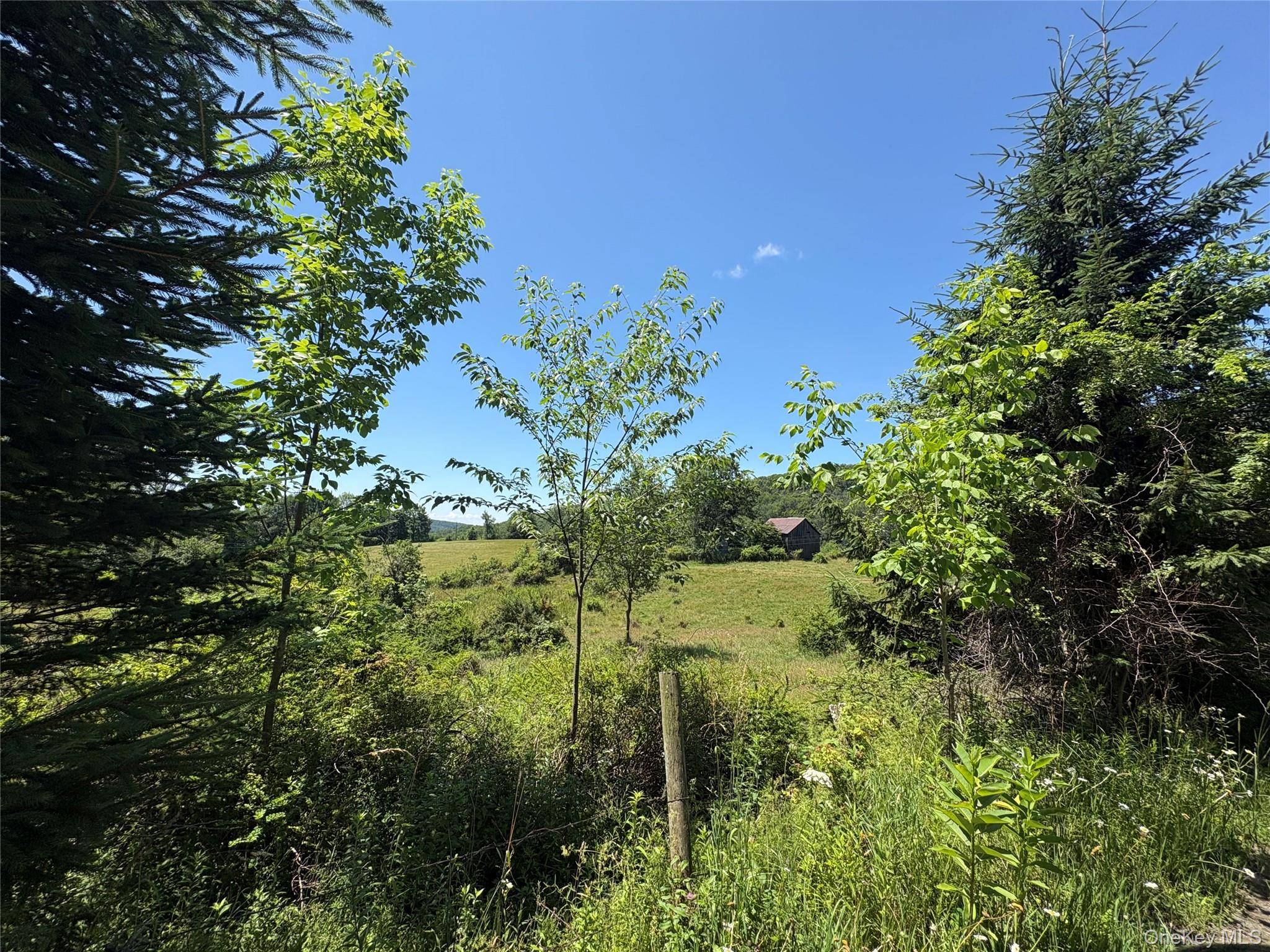 14 Frelich Rd/T R 28, Fremont Center, NY 12736