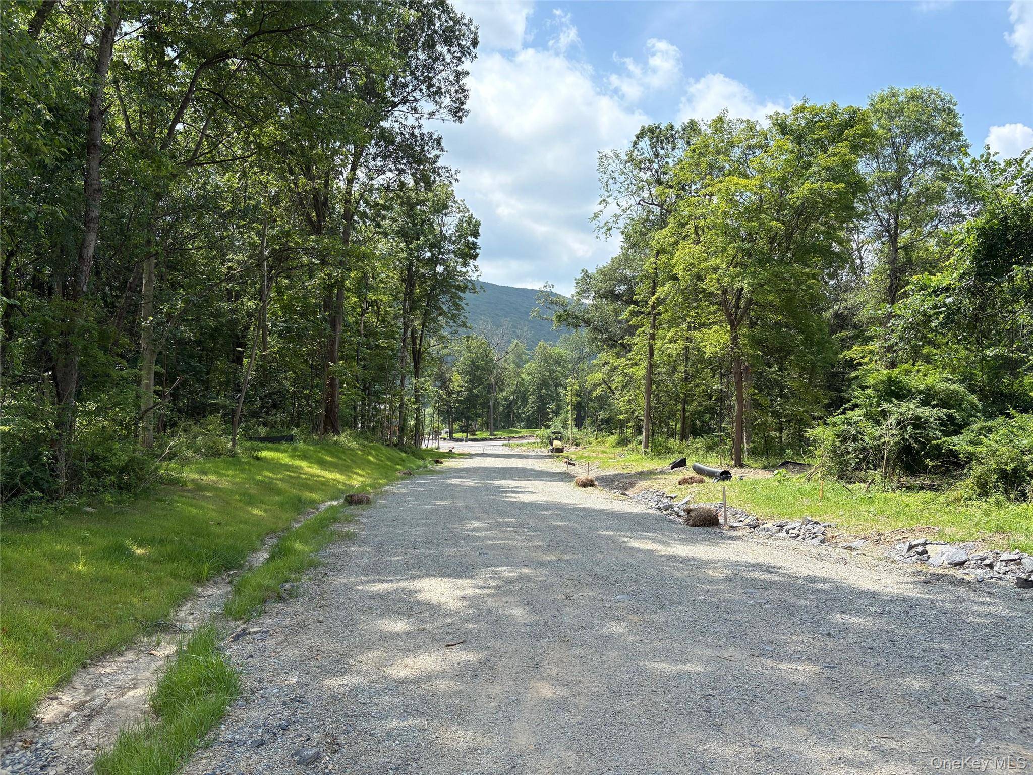 3 Rosewood LN, Salisbury Mills, NY 12577