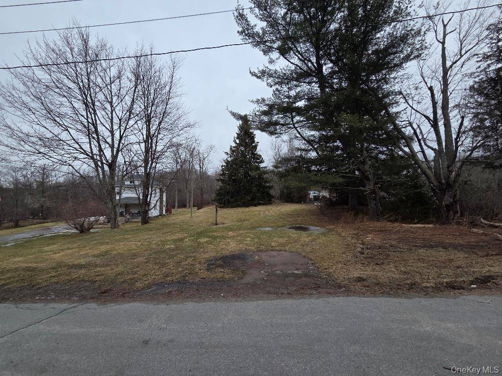 TBD State Route 52, White Sulphur Spring, NY 12787