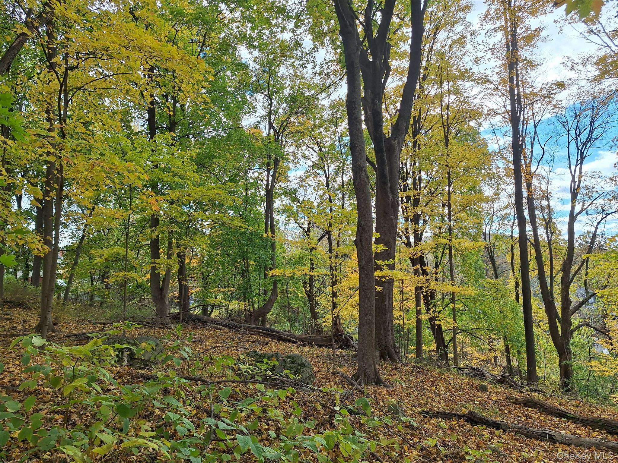 1 wright ST, Newburgh, NY 12550