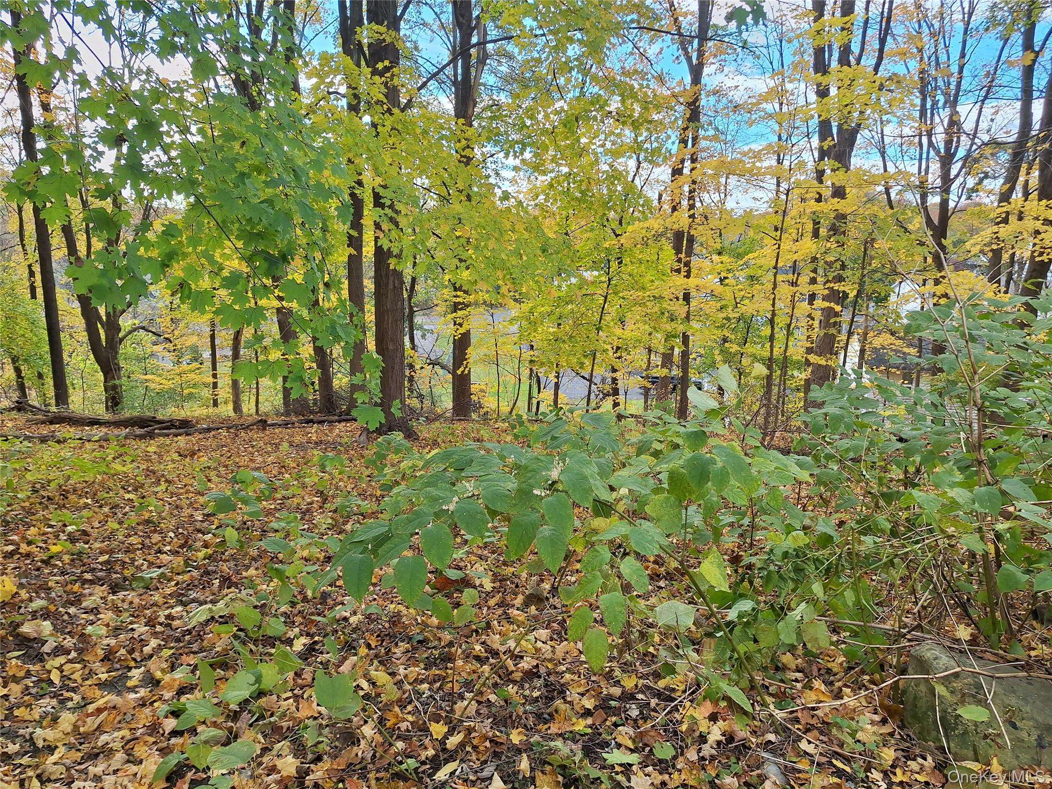 1 wright ST, Newburgh, NY 12550