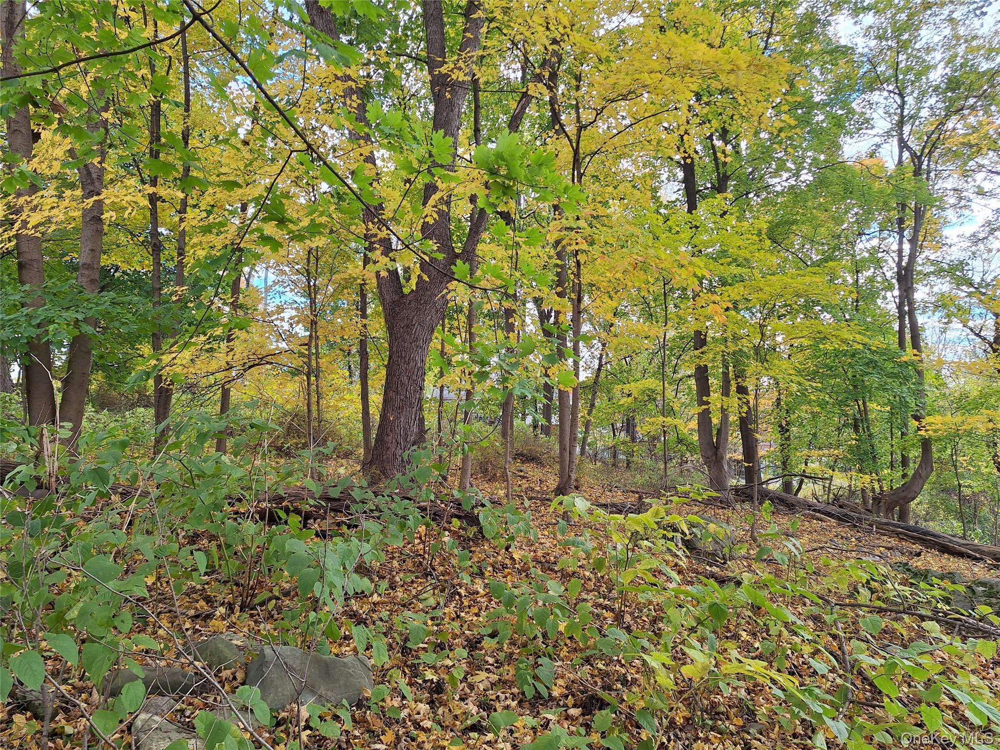 2 wright ST, Newburgh, NY 12550