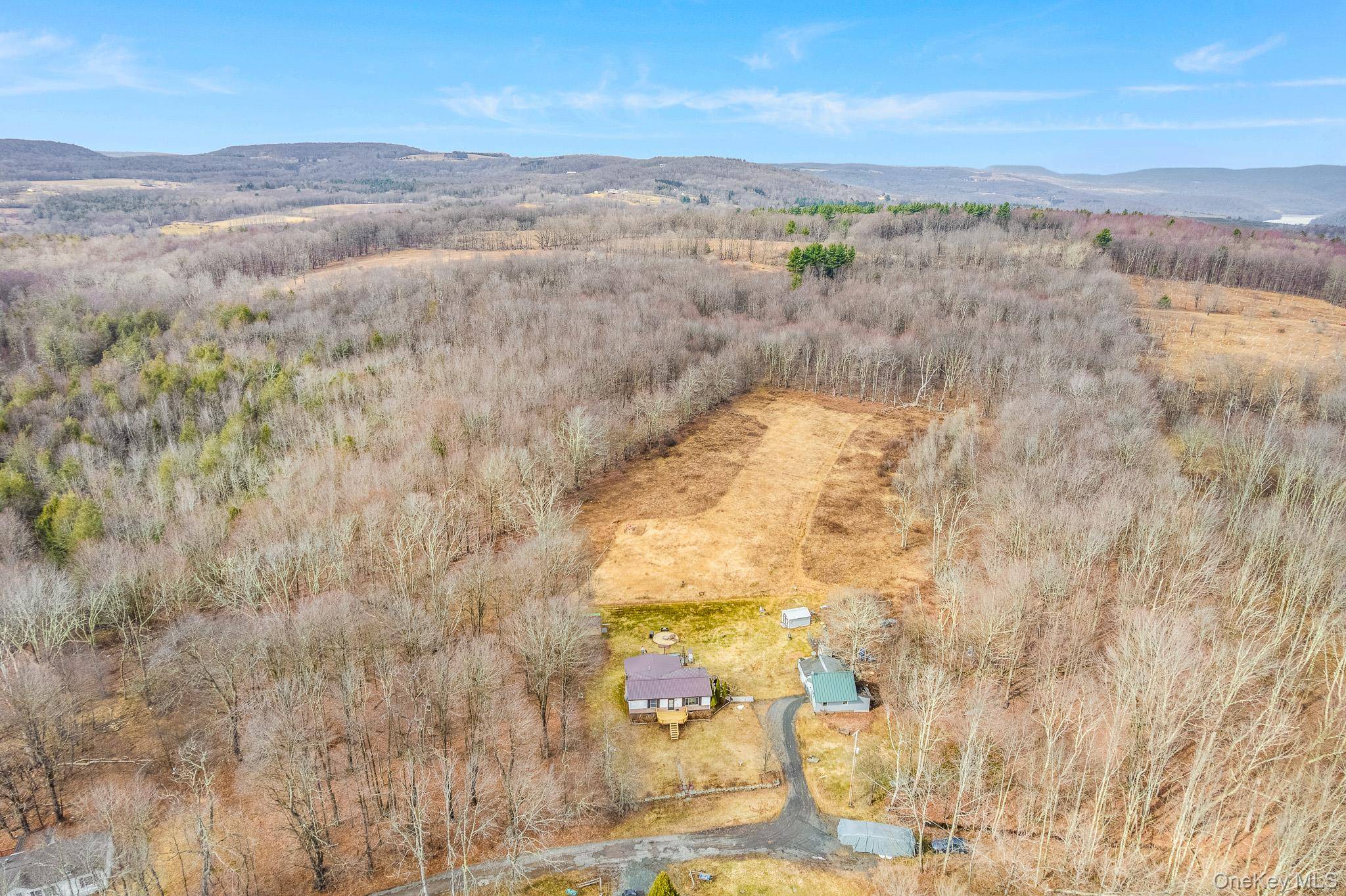 27 Beech LN, Liberty, NY 12754