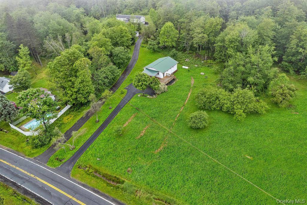 1013 Cooley RD, Parksville, NY 12768
