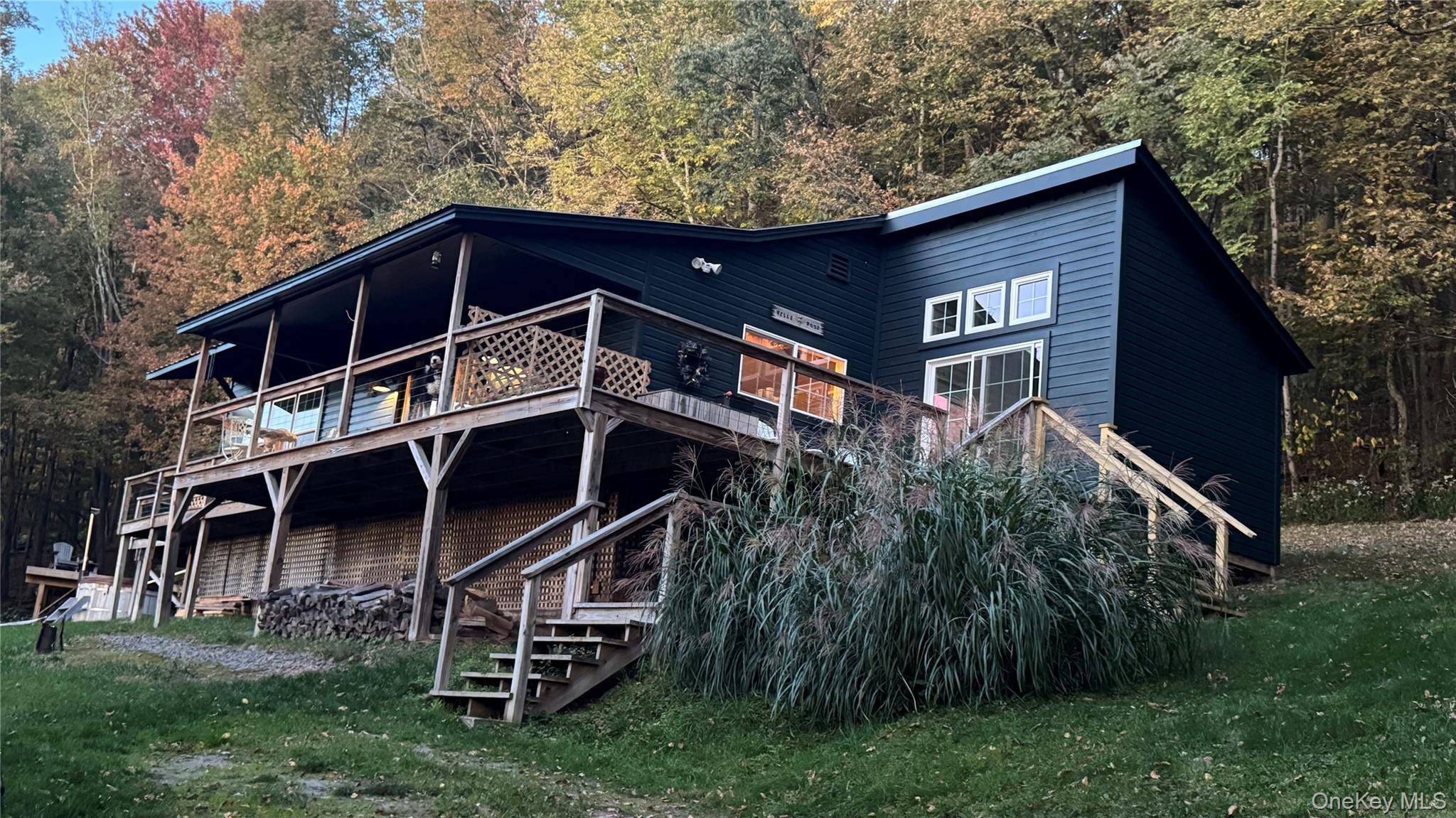 60 Mountain Terrace RD, Livingston Manor, NY 12758