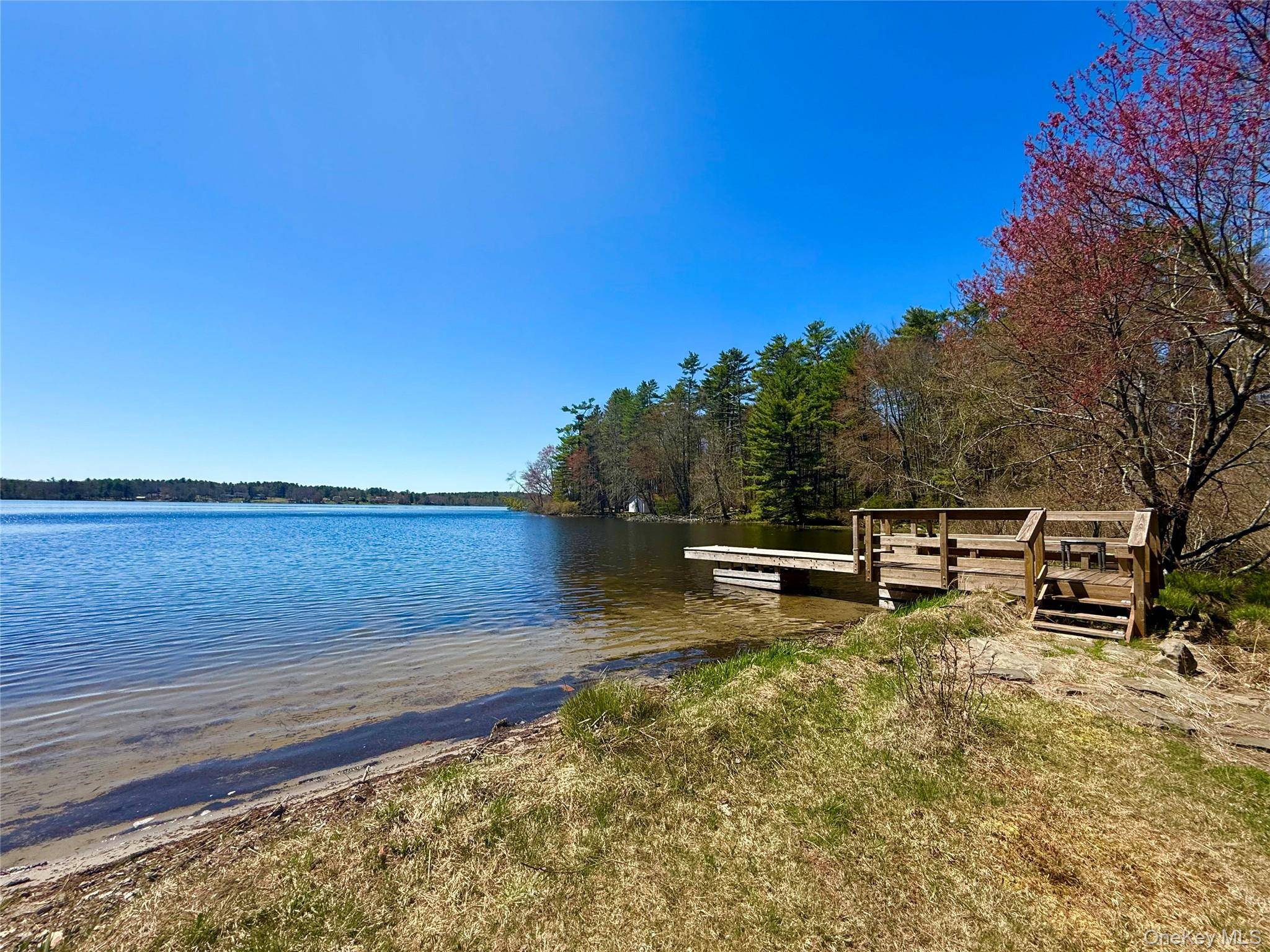 236 Lakeview Drive RD, Highland Lake, NY 12743