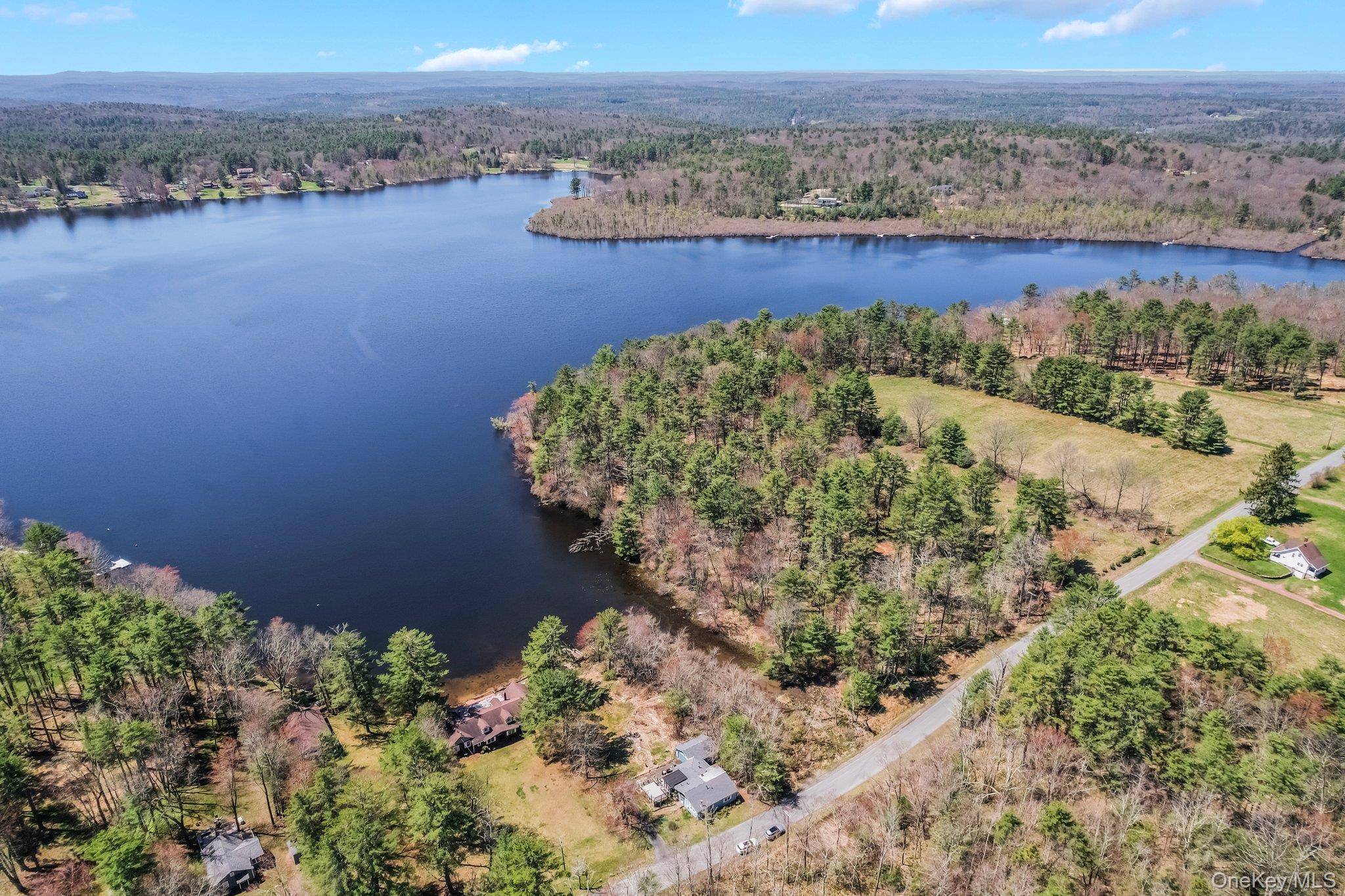 236 Lakeview Drive RD, Highland Lake, NY 12743