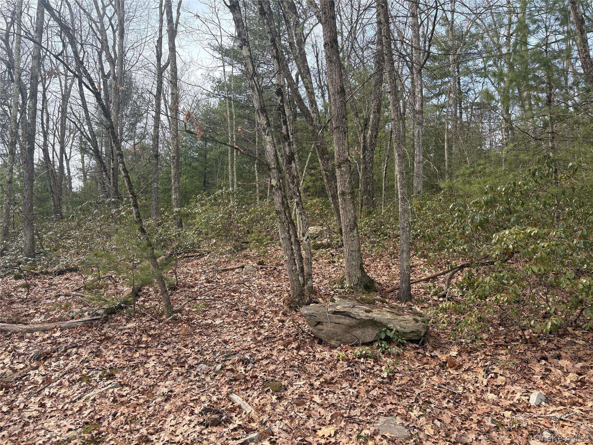Bennett RD, Napanoch, NY 12458
