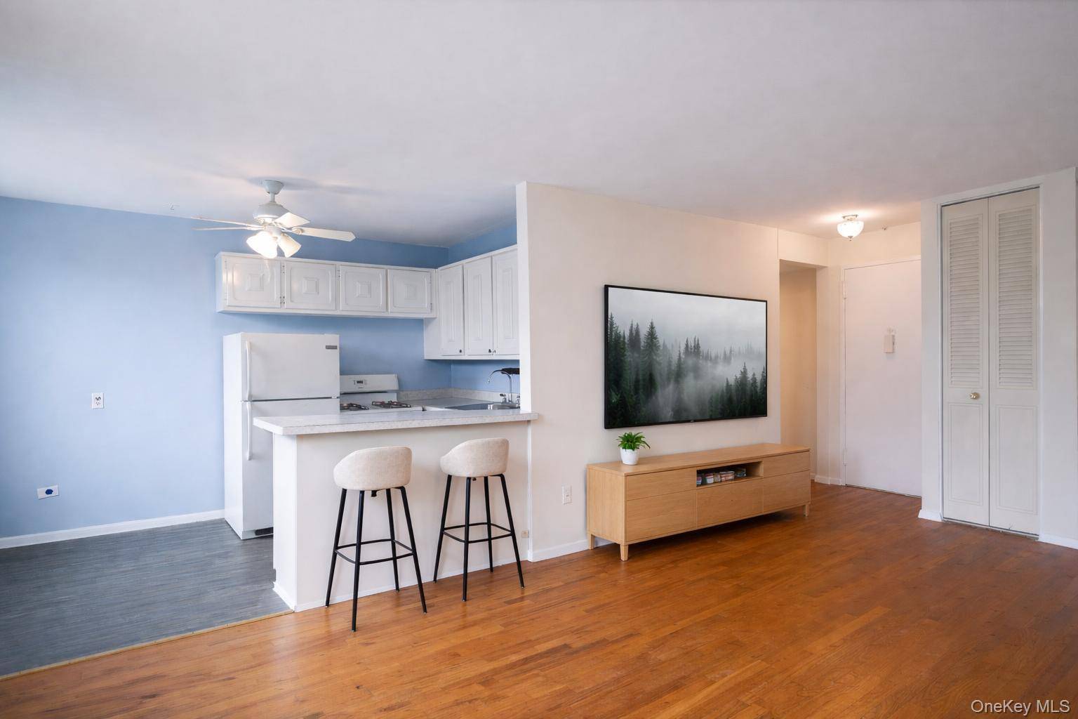 6815 Selfridge ST #6D, Forest Hills, NY 11375