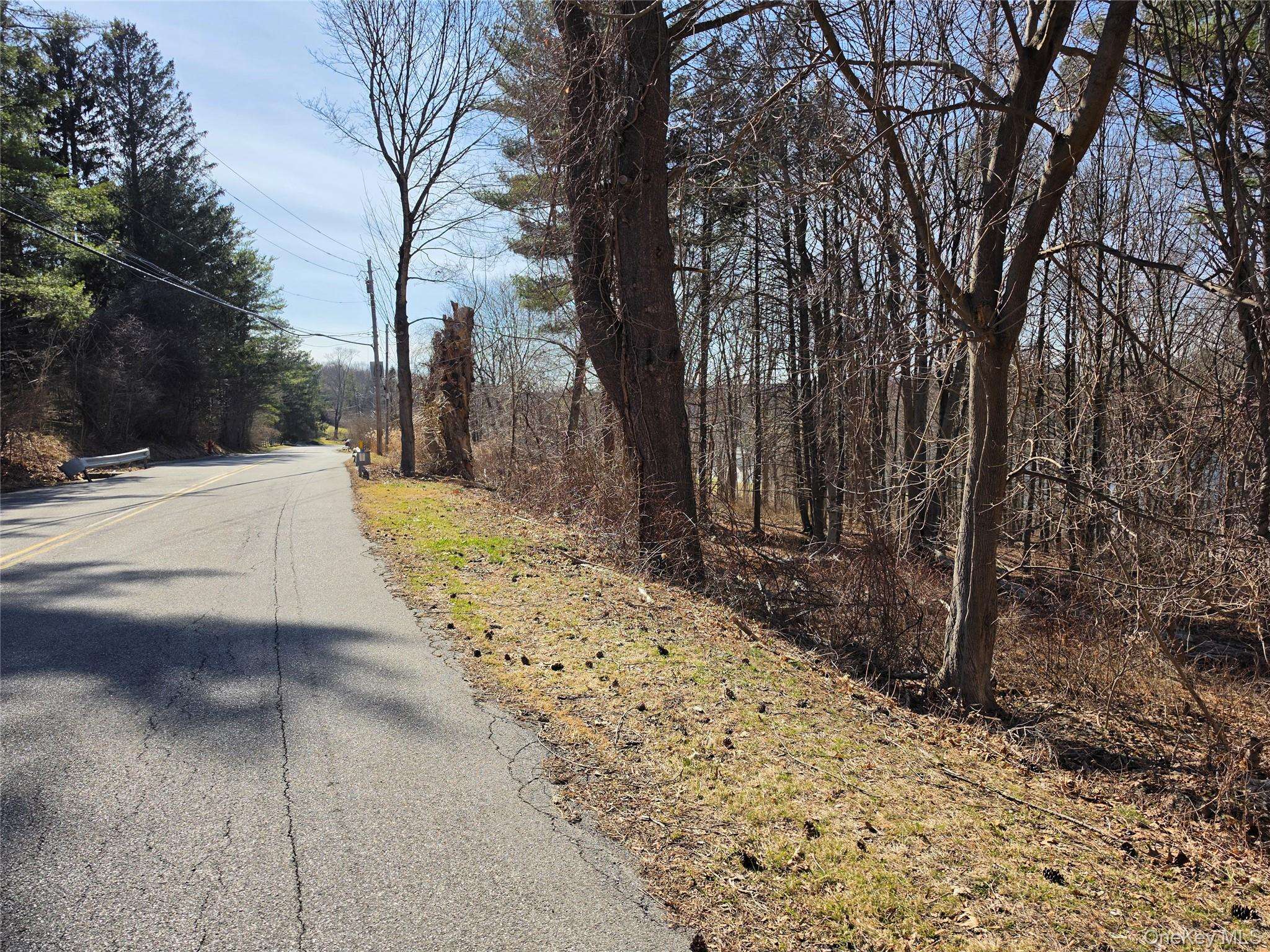 6 Willow RD, Carmel, NY 10512