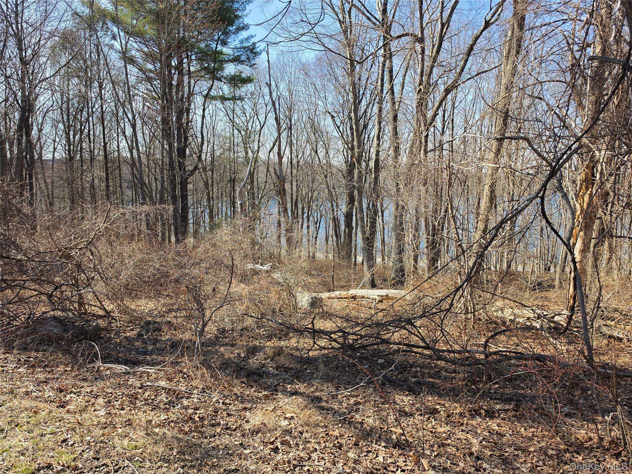 6 Willow RD, Carmel, NY 10512