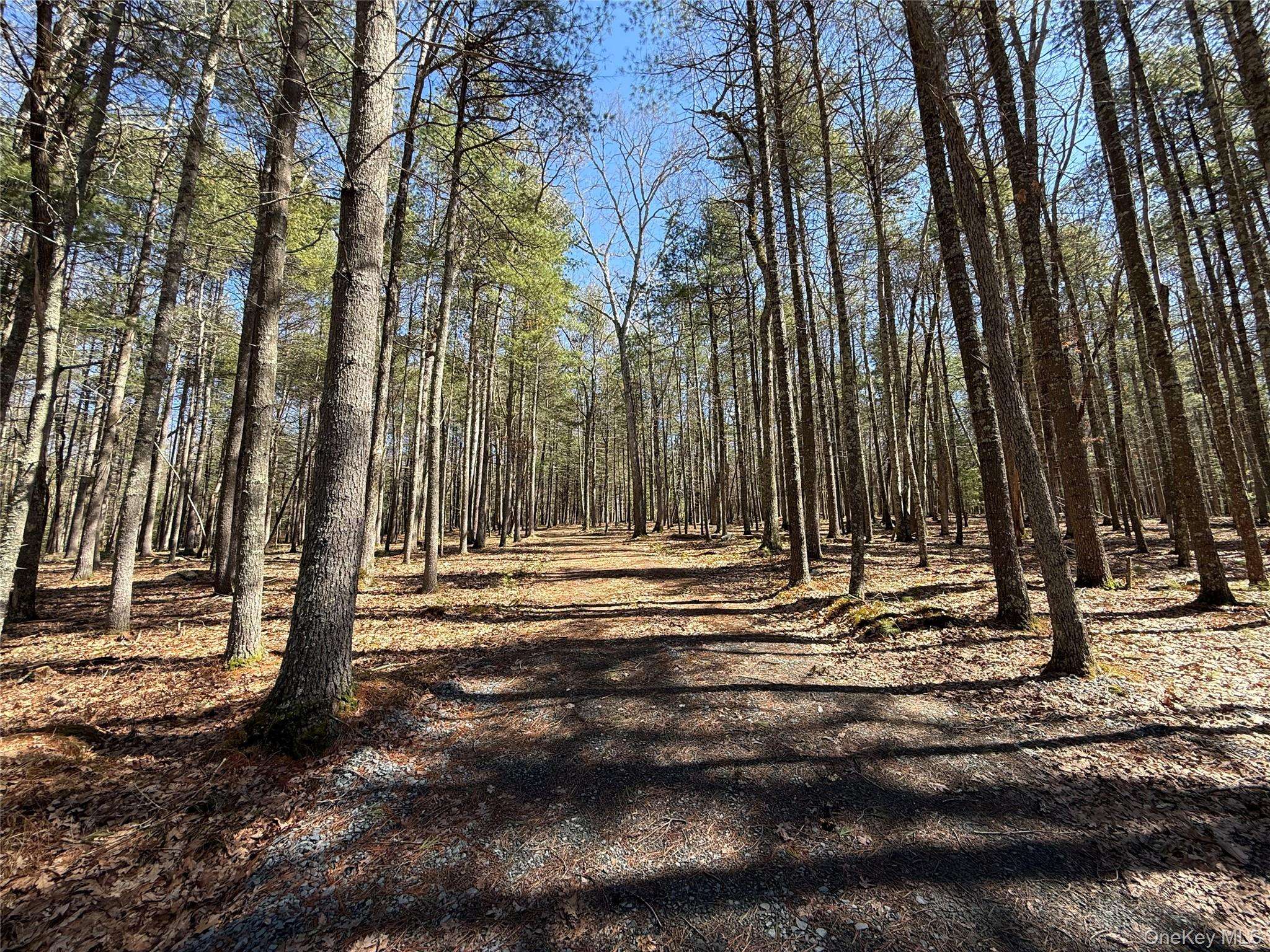 Upper Lumber RD, Glen Spey, NY 12737