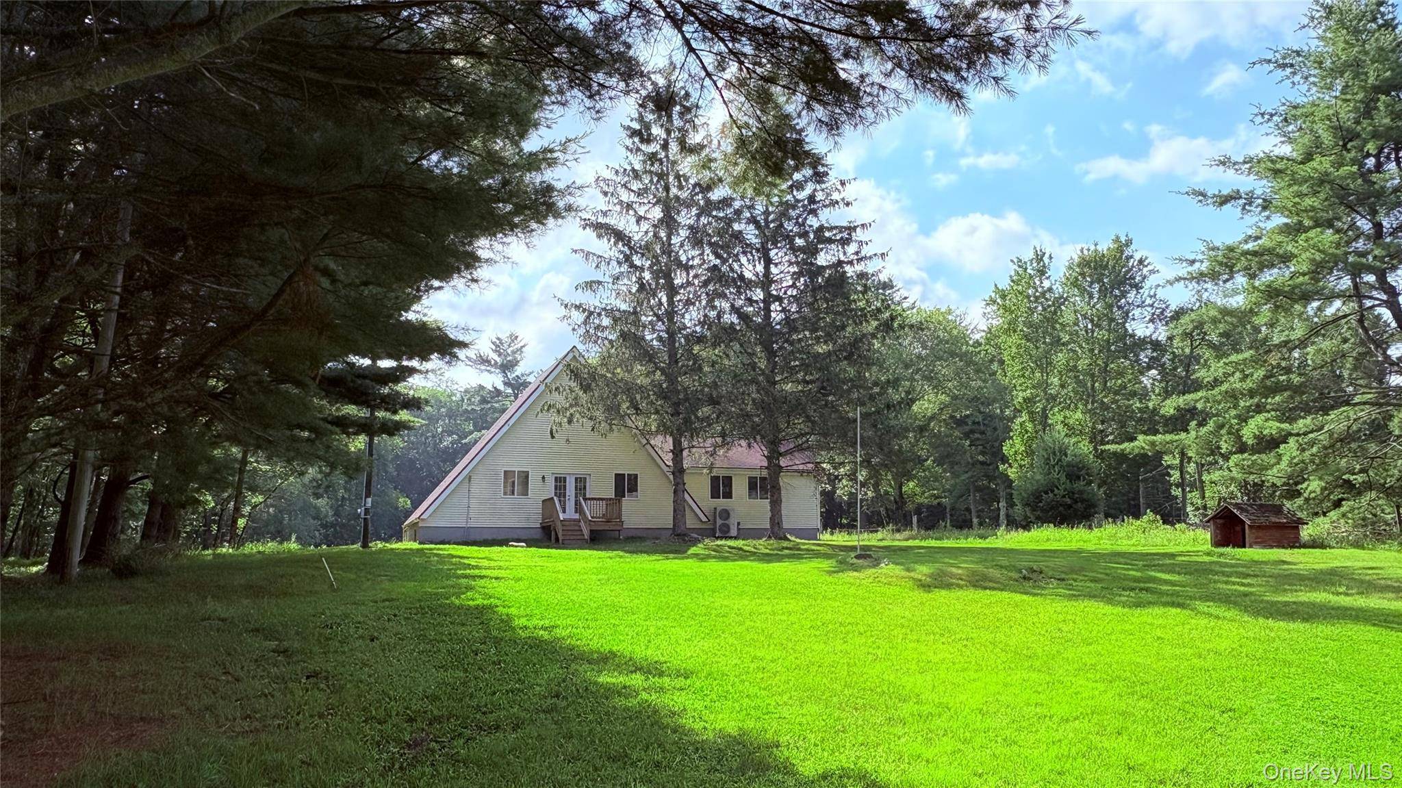 107 Pinewood RD, Cochecton, NY 12726